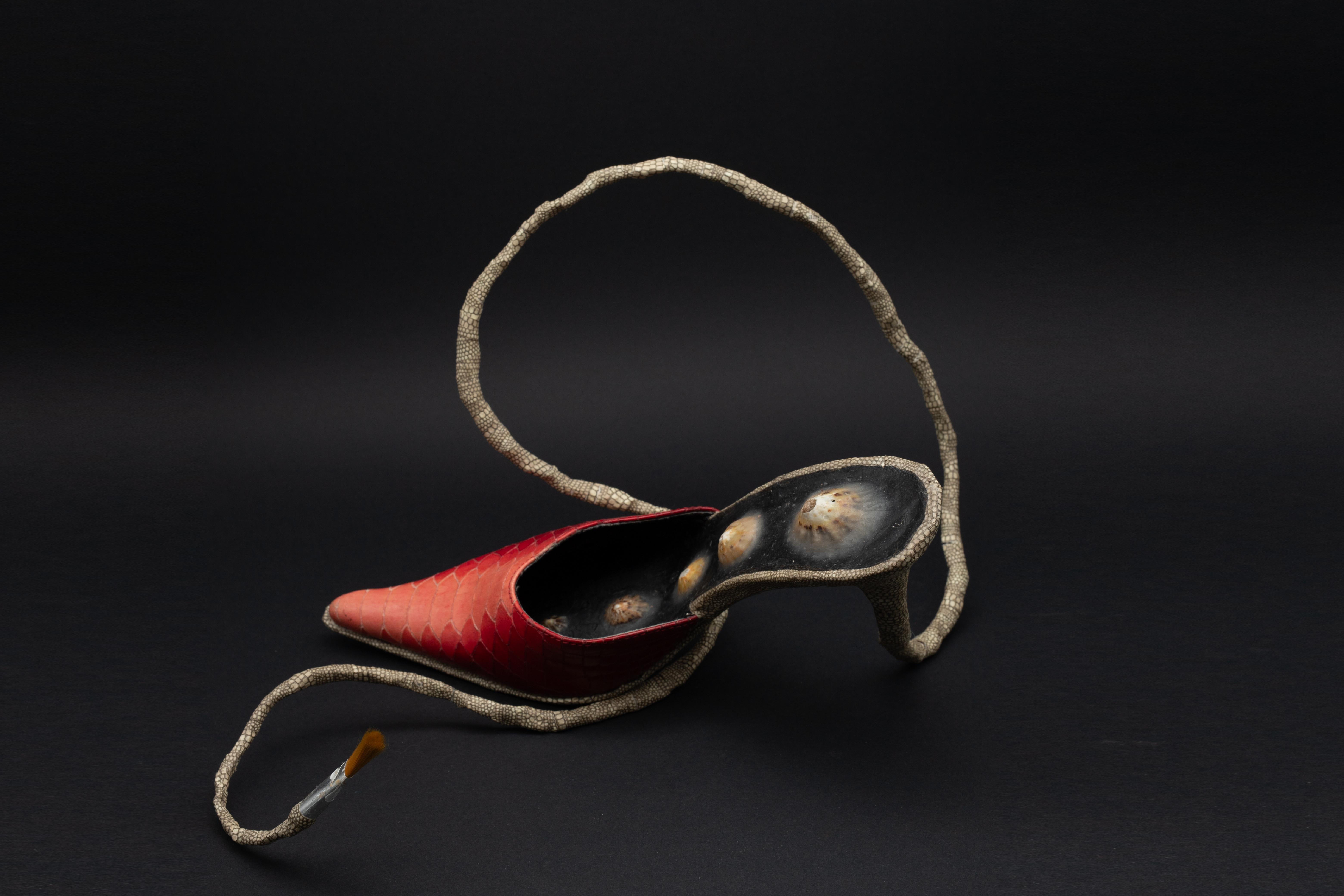 UntitledLeather shoe, wired paper, shell, wax, paintbrush34.5 x 13.5 x 20.5 cm