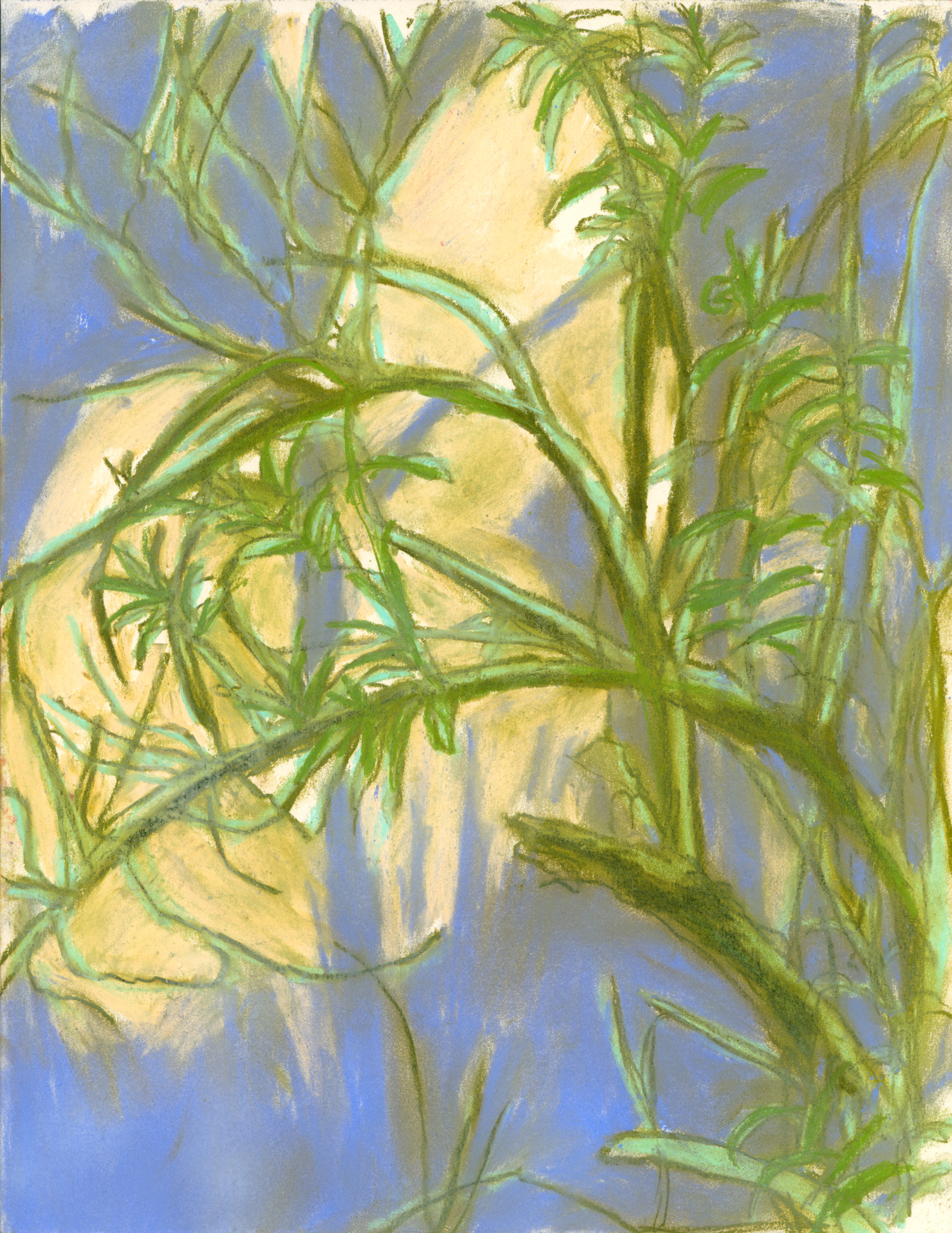 Mulefat at Rio de Los Angeles State Park, soft pastel on paper, 14 x 11 inches, June 2022