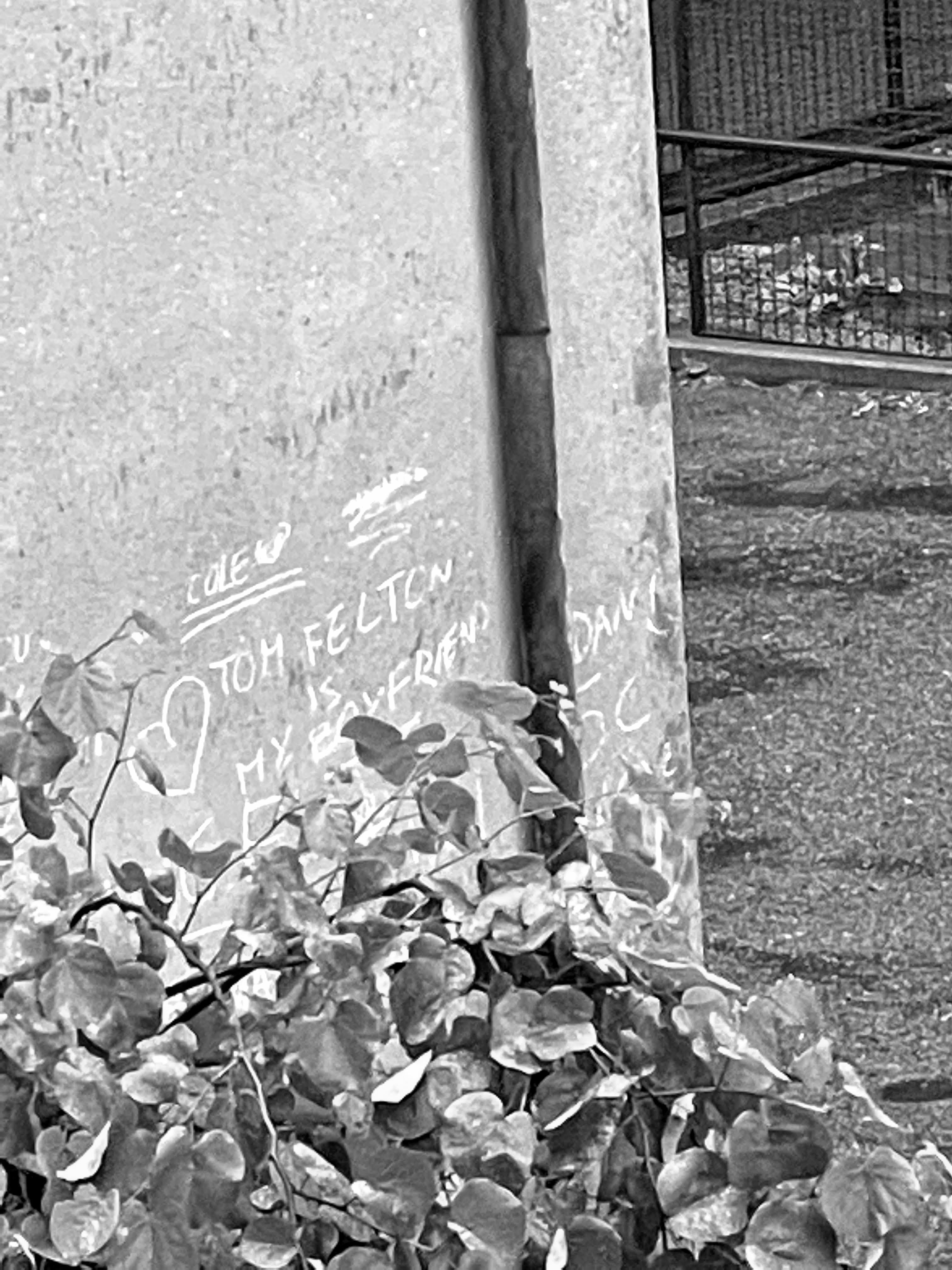 «Tom Felton is my boyfriend», scuole elementari, Bologna, 24-5-21