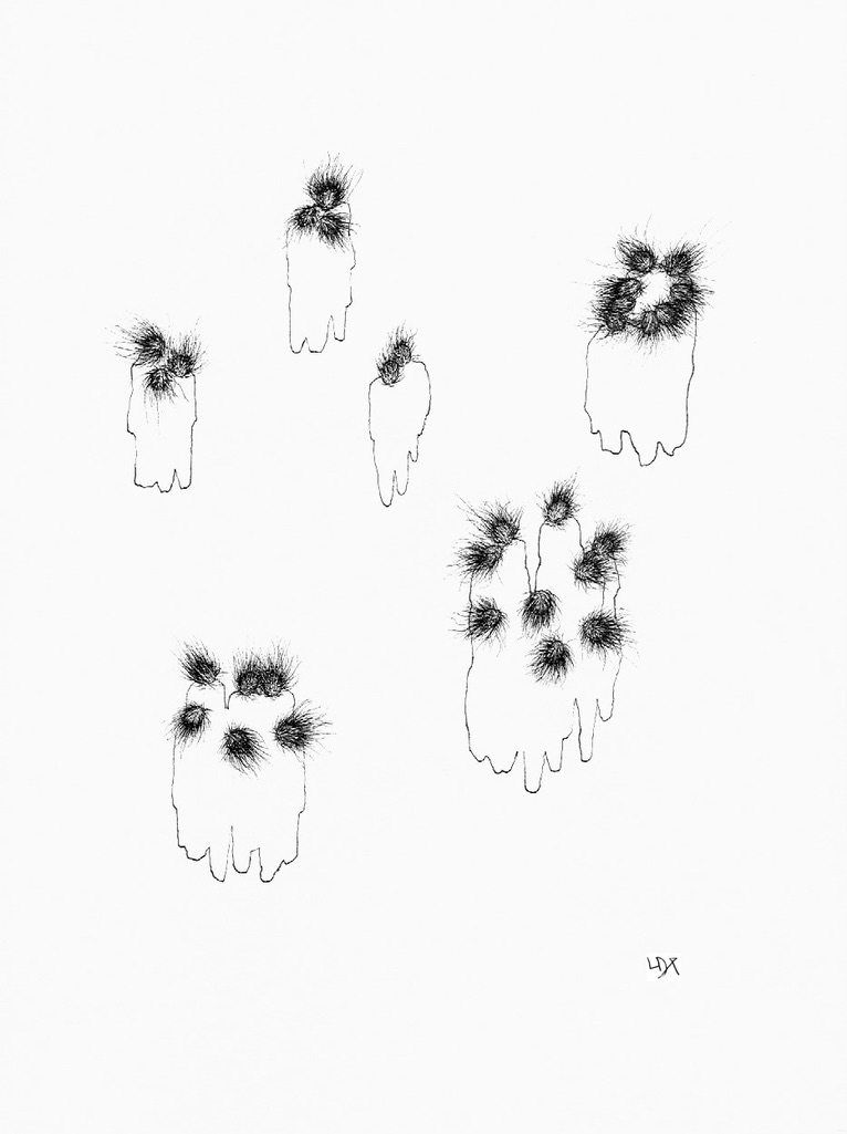 Mycelihommengroupe-2013-33X22