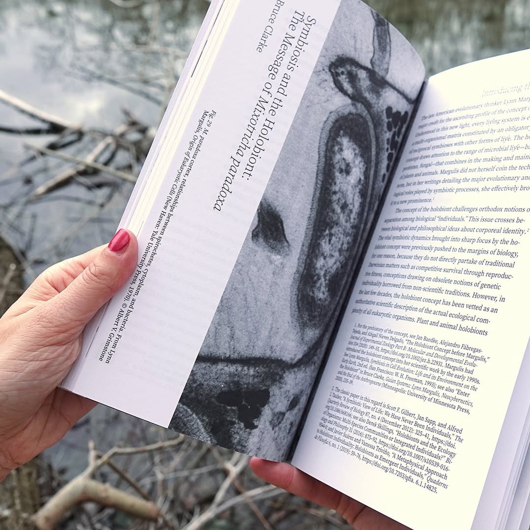 Client: Universit&auml;t f&uuml;r angewandte Kunst Wien // Graphic Design: Simona Koch  // Publisher: DeGruyter // [photo: Simona Koch]