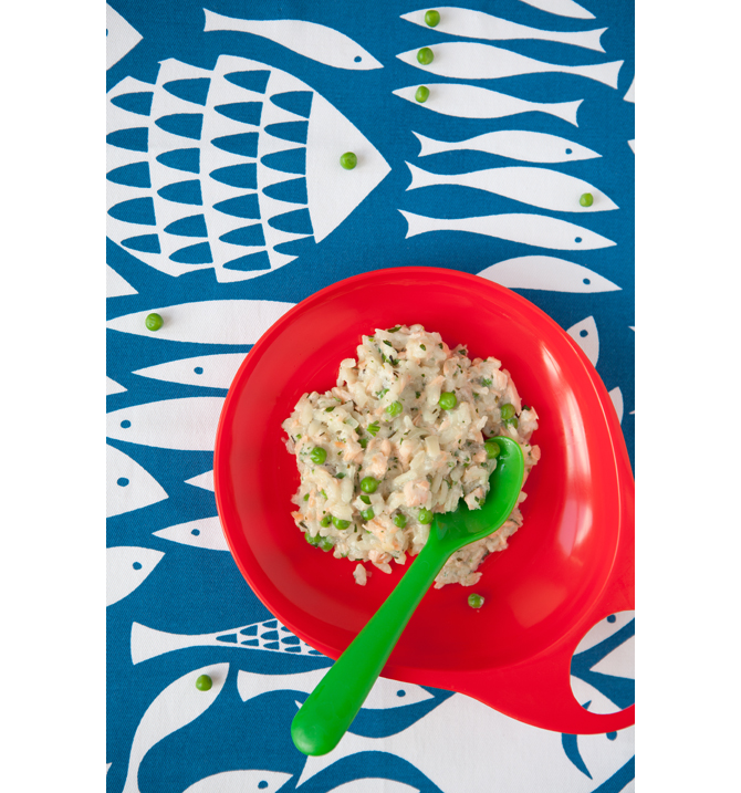 Ella's Kitchen Cookbook