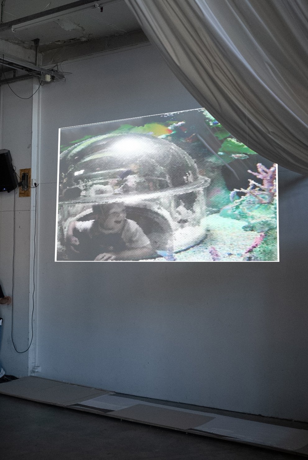 Kripa Jain - Armine Linke