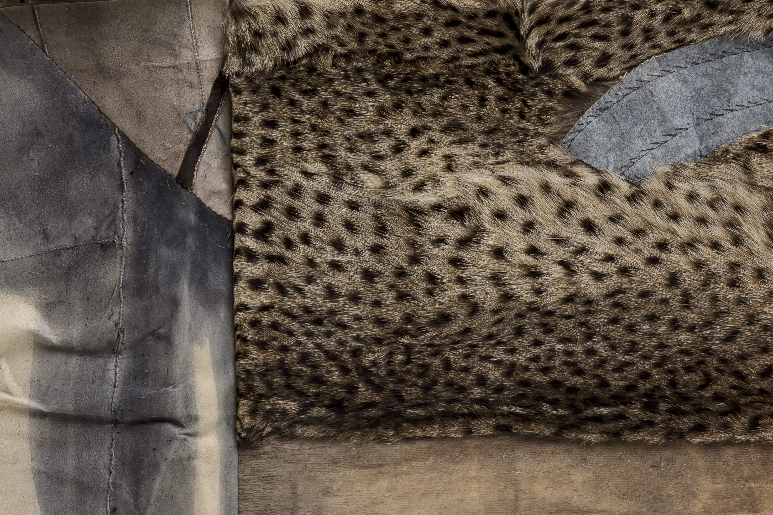 Detail from "Ocelot"