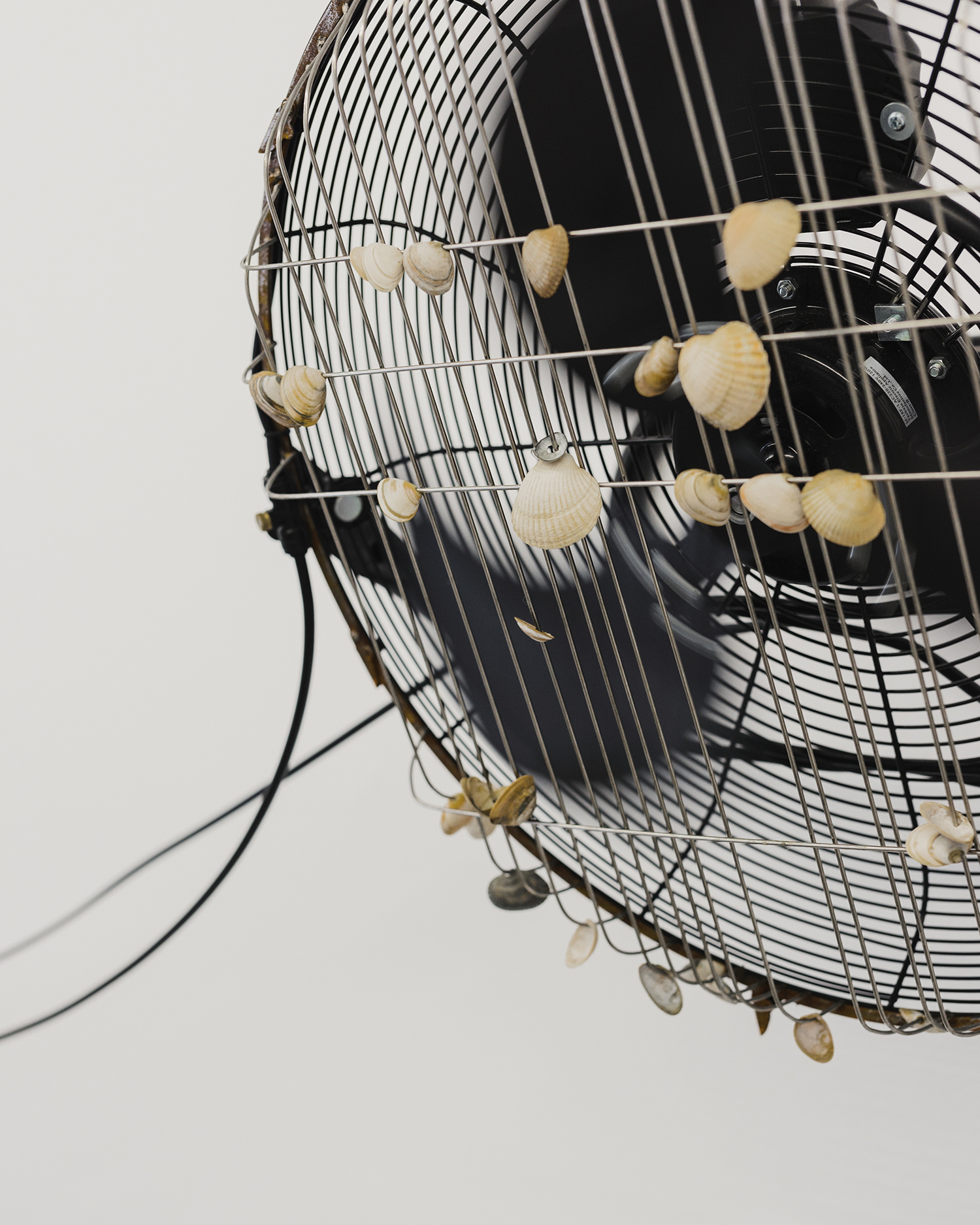 Clàudia Pagès - dis- des- duress. tris-tras, giro, fallo  5/16