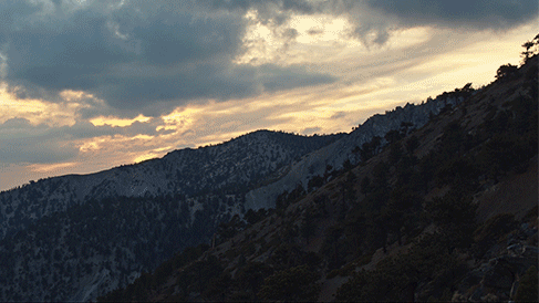 Adidas / Diplo — Escape the Noise