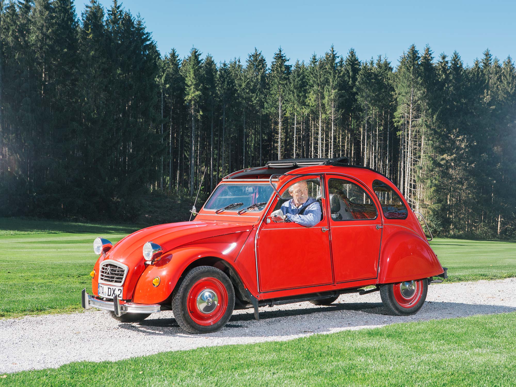 Michael Roll | Actor