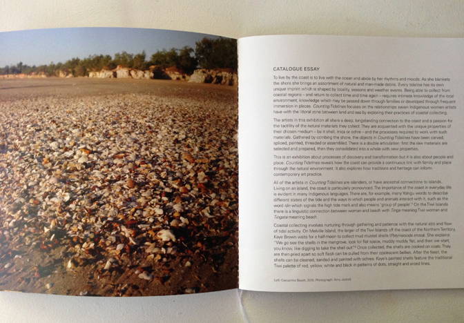 Counting tidelines catalogue