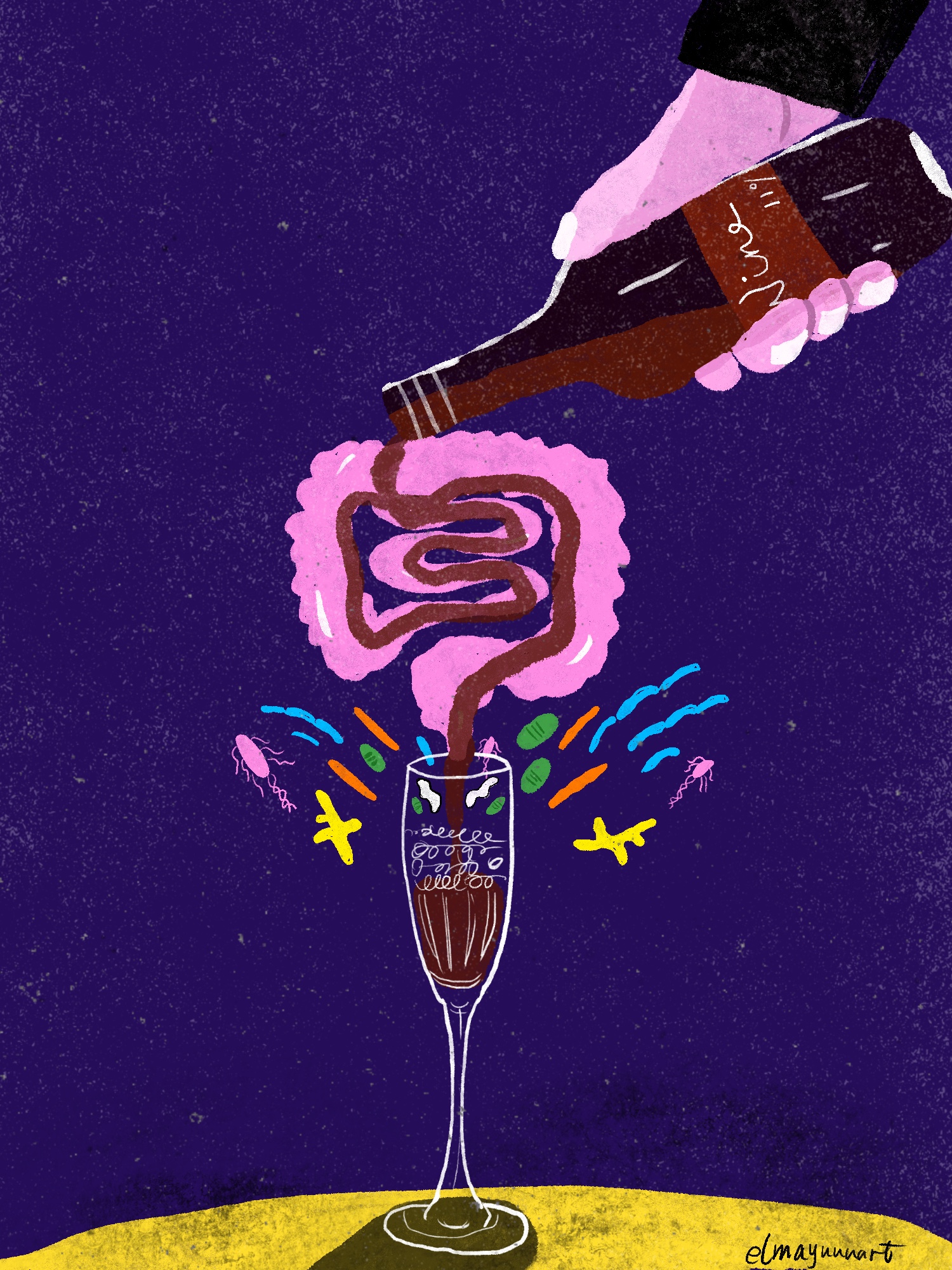 The relationship between alcohol and gut microbiota.(Personal project)