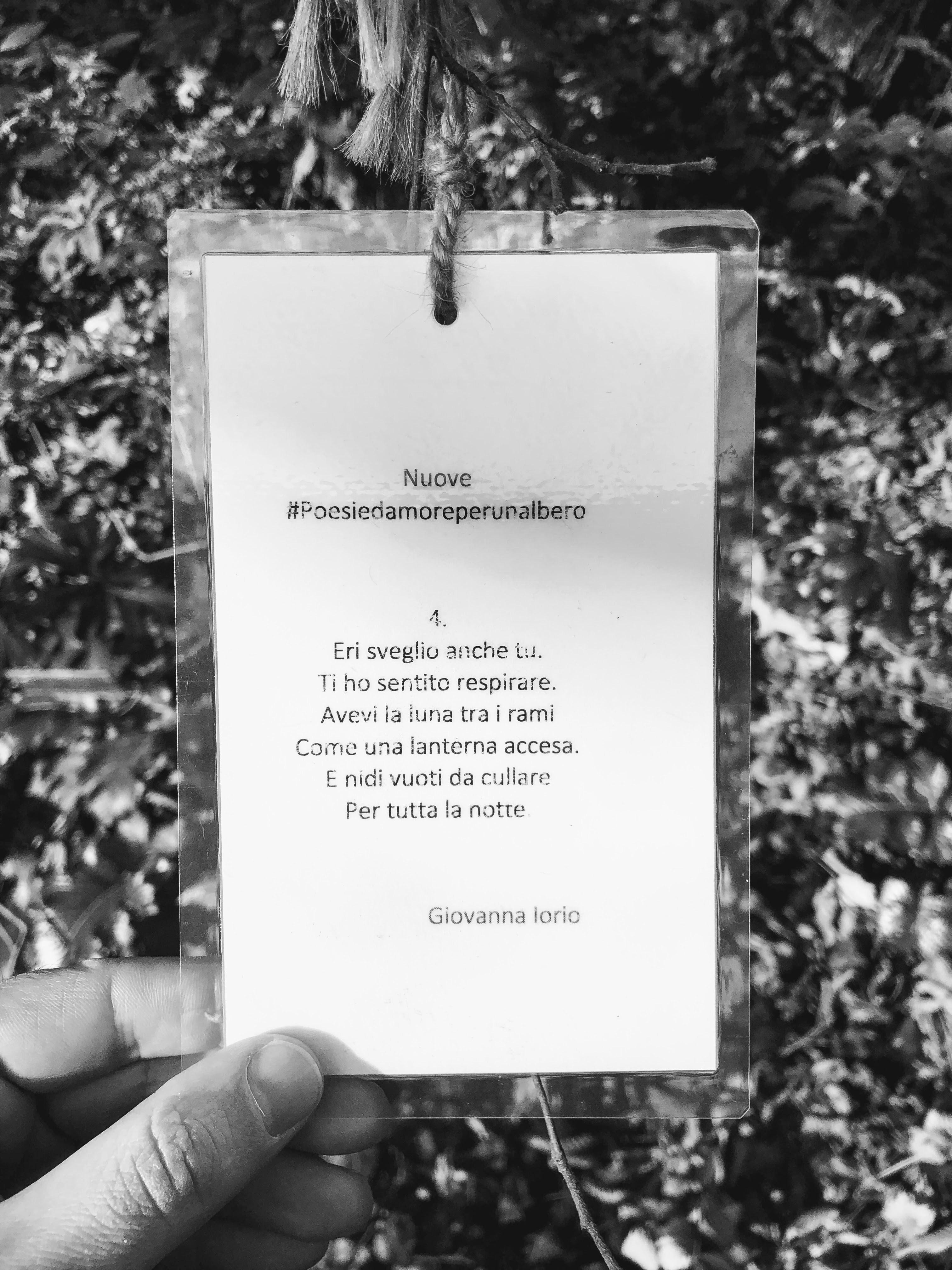 Poesie sugli alberi, Orto Botanico, Bologna, 11-1-20