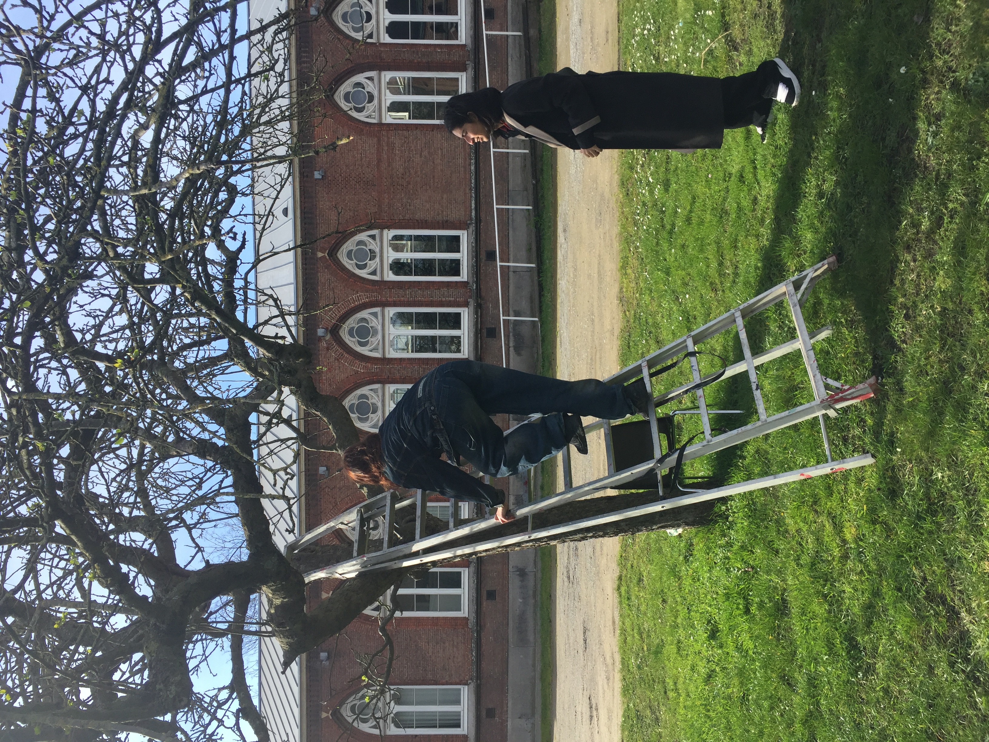 beeld uit performance "in de bomen (werktitel)" over bomenklimmen, afstand overbruggen, vertalen en plezier. -lente 2024
