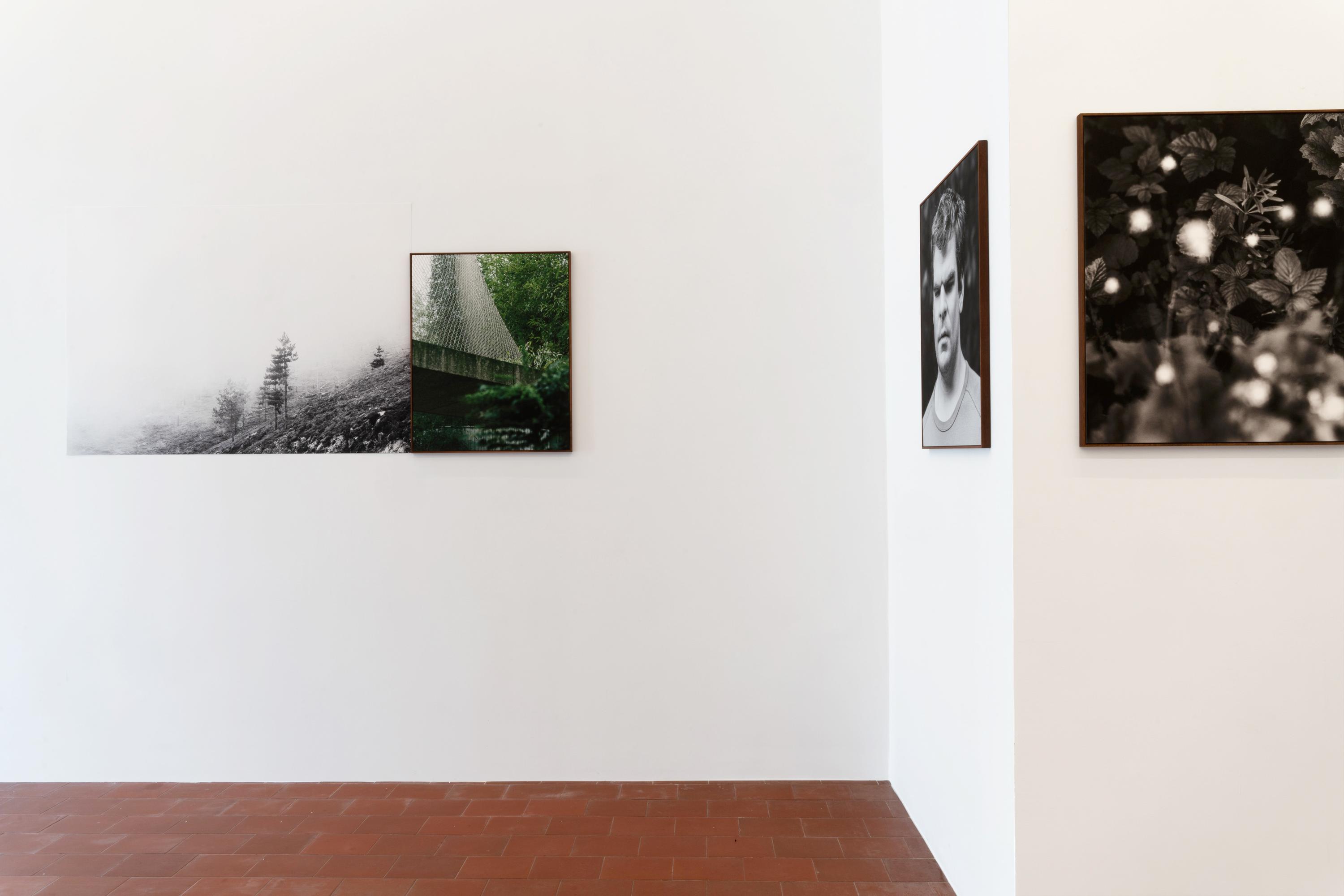 Fading Senses / Sensitive Territories, Atos de Empatia, Bienal'23 Fotografia do Porto