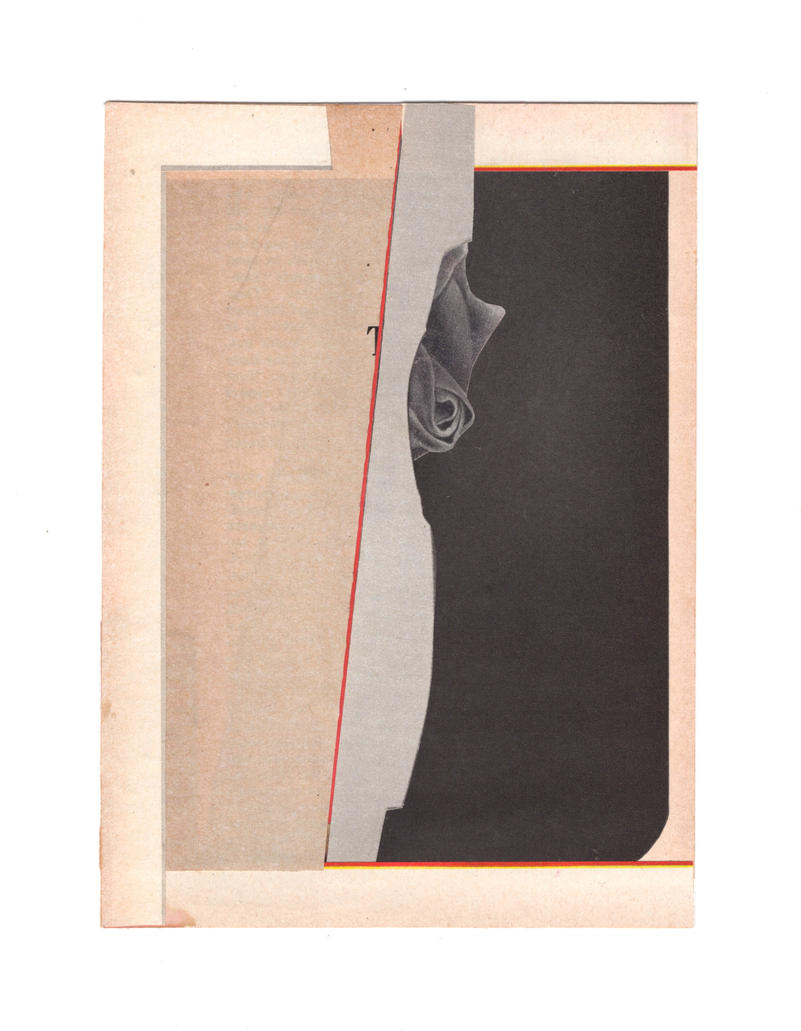 Untitled (black rose)