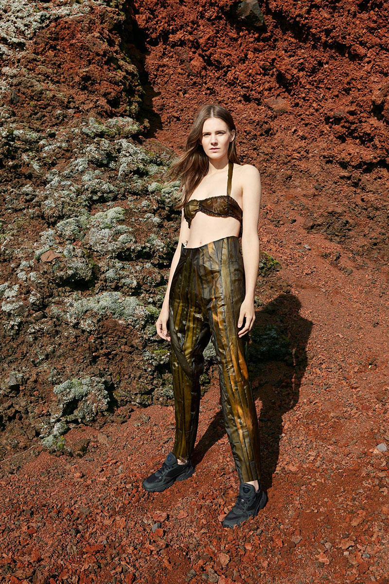 Transform Design Project