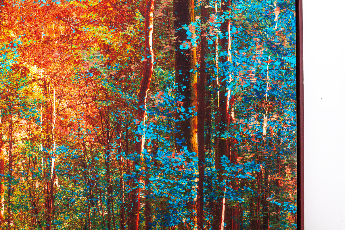 "L'&eacute;chapp&eacute;e myst&eacute;rieuse", 120x80cm - 2022