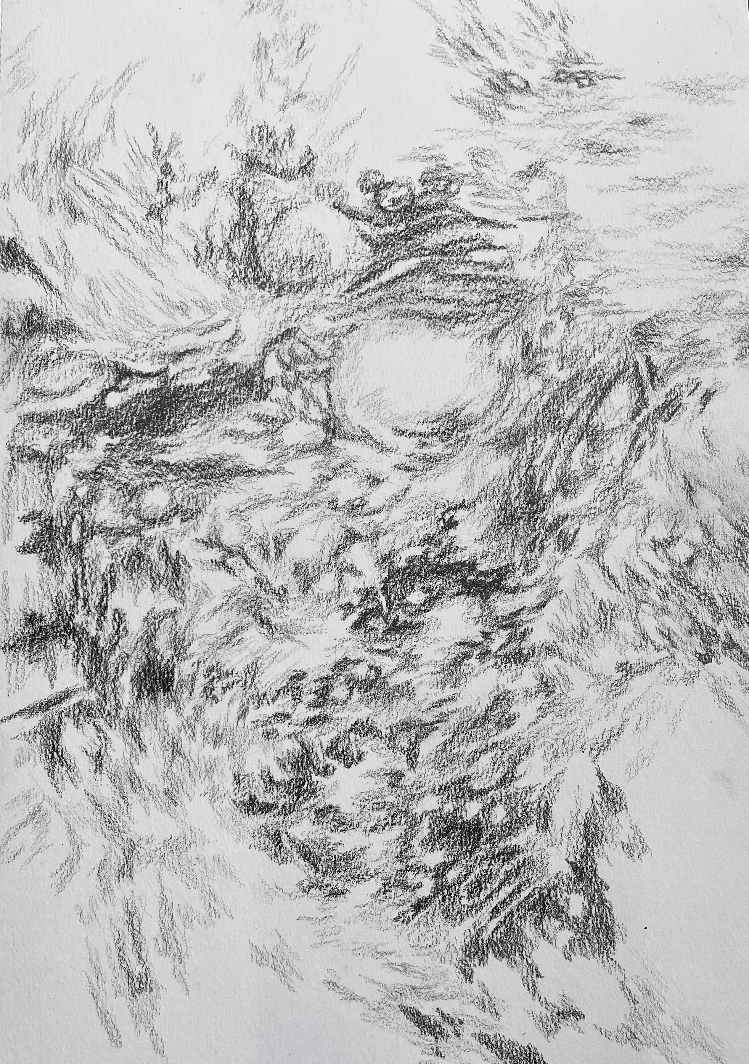 water, grass, or maybe a hole in the ground, graphite, 2022