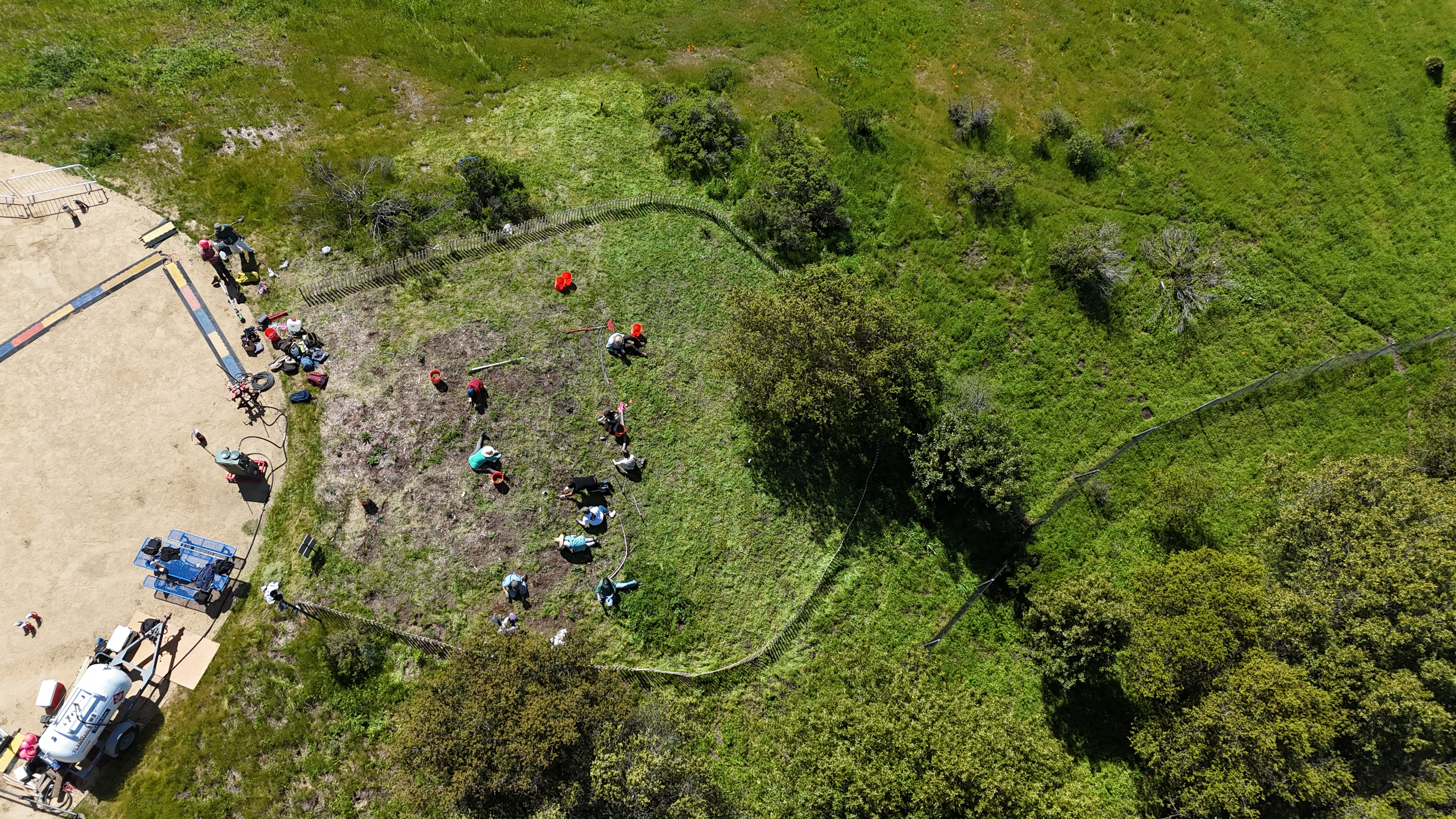 You can see the buffer zone that we weed whipped upwind of the plot (thanks Will). The plot is also buffered by a few coyote brush to the southwest and anchored by a coast live oak and a bay laurel tree at the bottom of the slope.