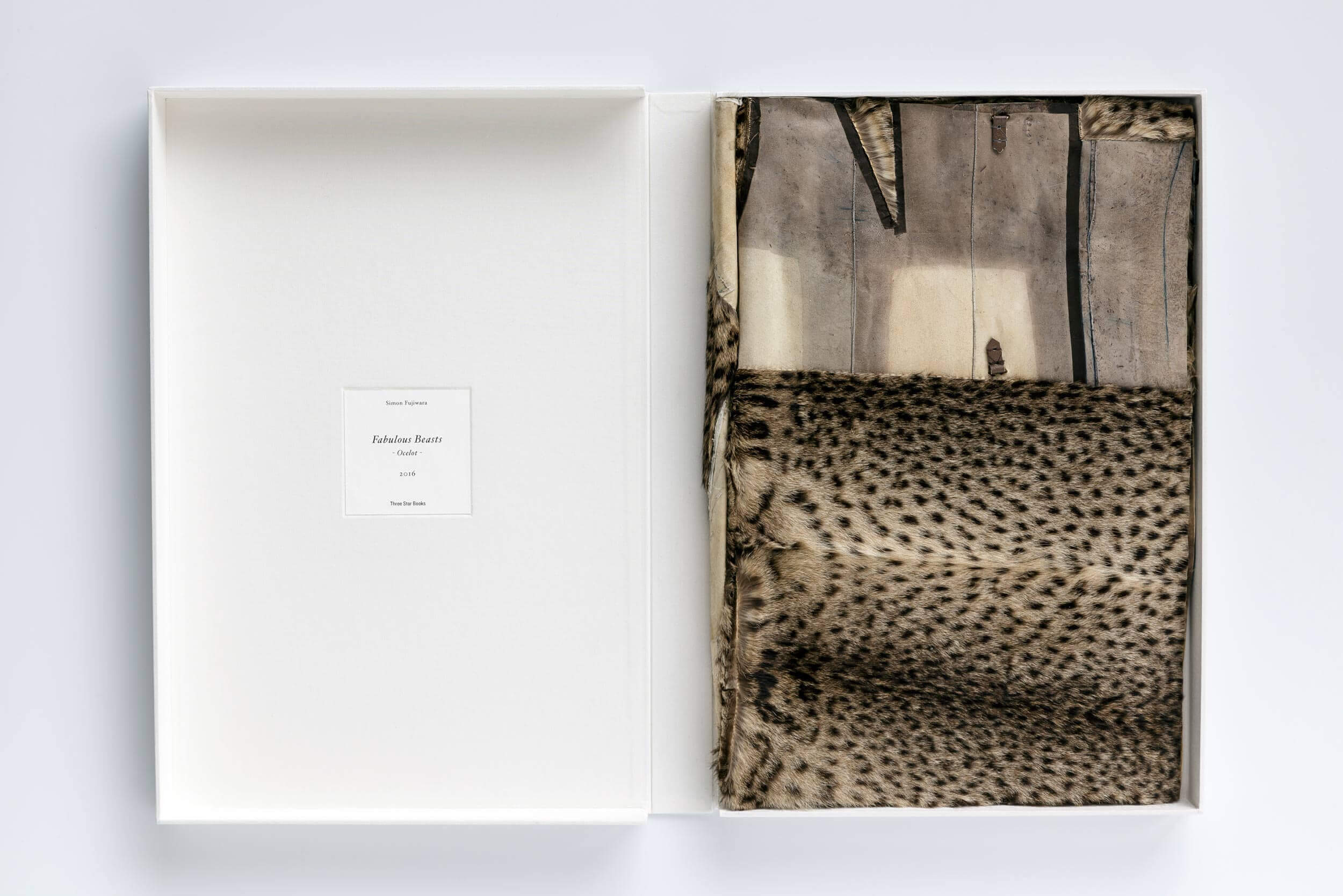 Ocelot SOLD