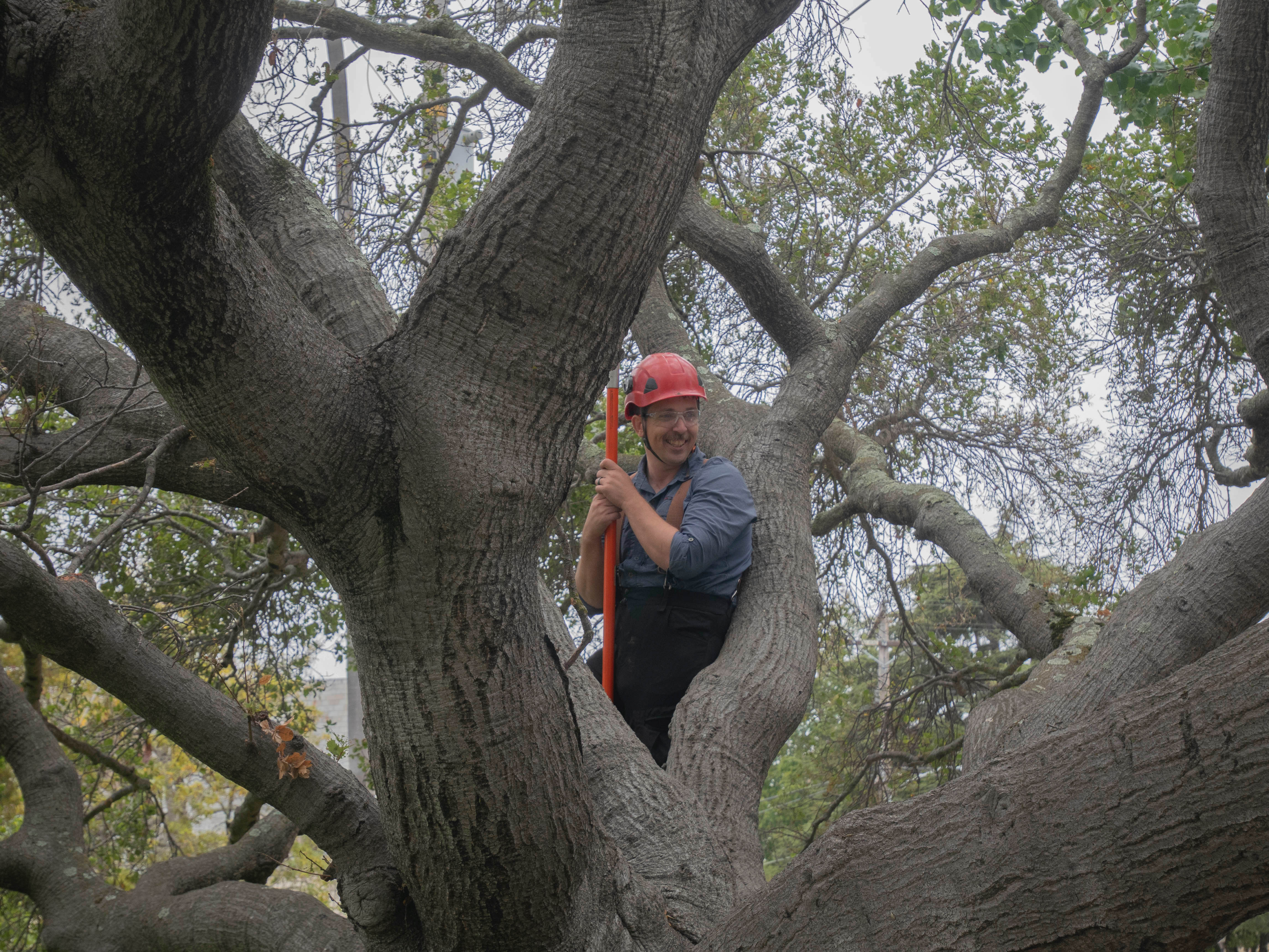 Scenic Ave and Vine Street, Berkeley