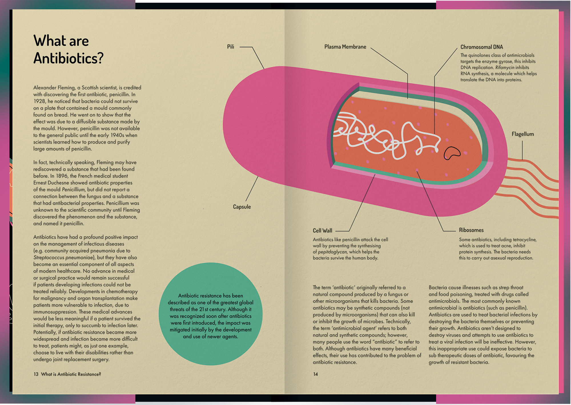Rise of the Superbug, 2020