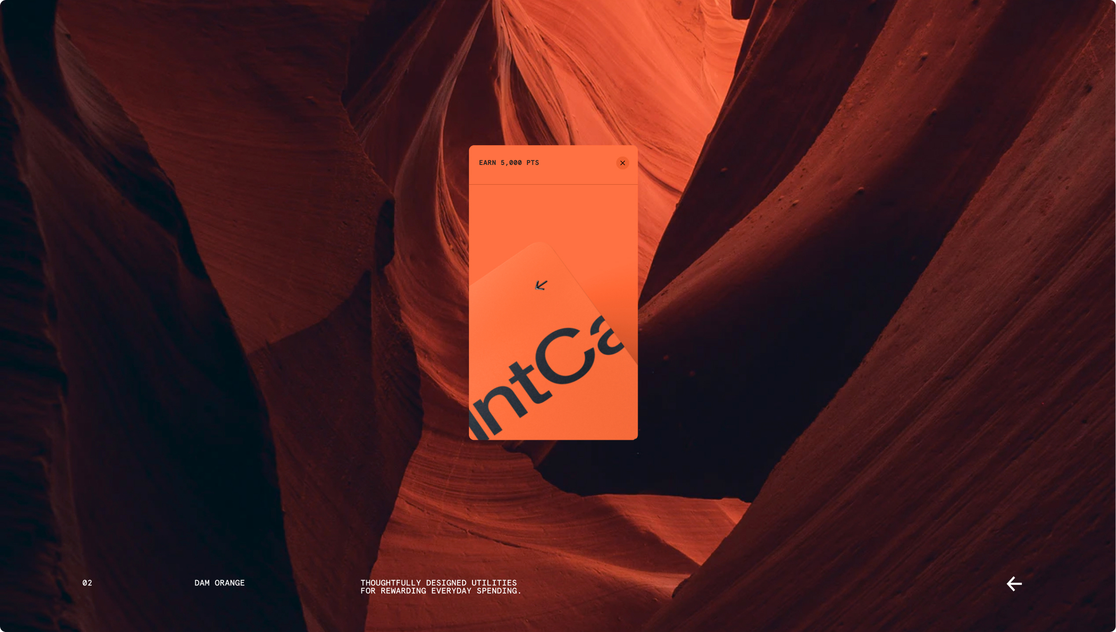 PointCard™ Neonㅤㅤㅤㅤㅤ(2021)