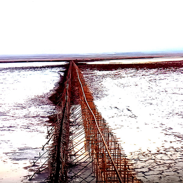 2023 | Apparition - Hadaly Quartet (M)