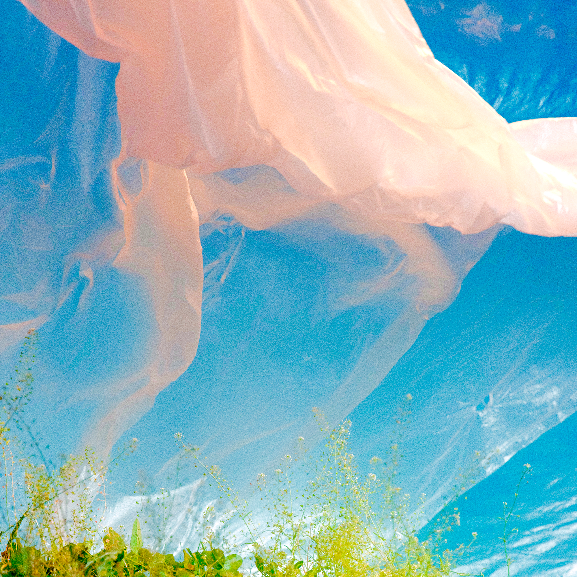 Weekends in the Park - Alexia Thomas