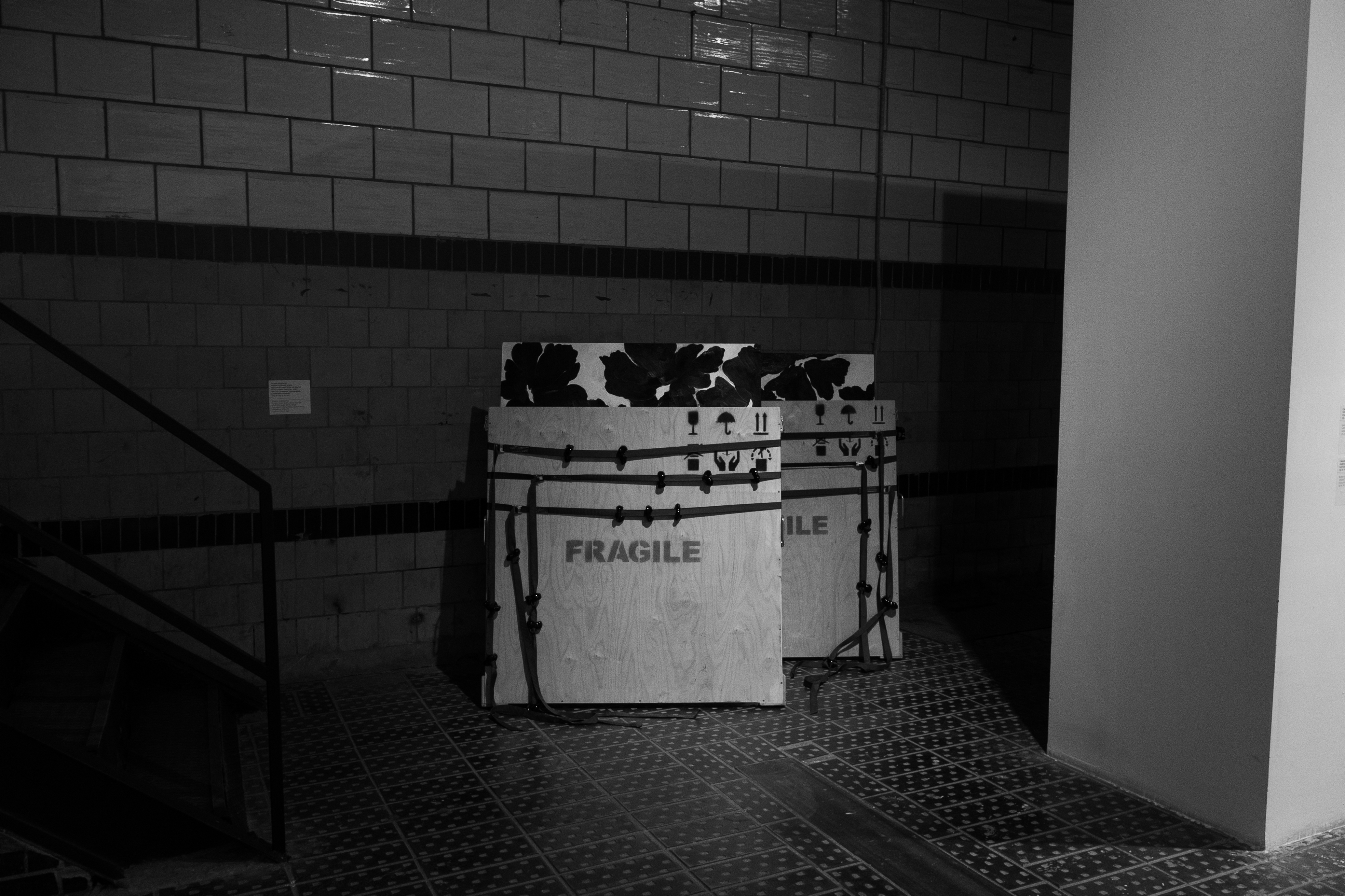 To my dog Bob who never existed and died, 2022