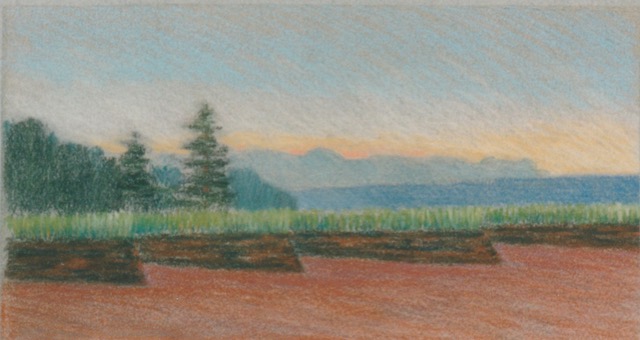 P1.75 - eel grass, N.S.