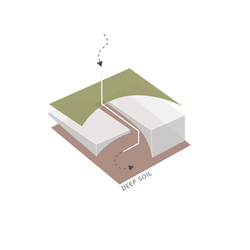 Visualizing Carbon Sequestration