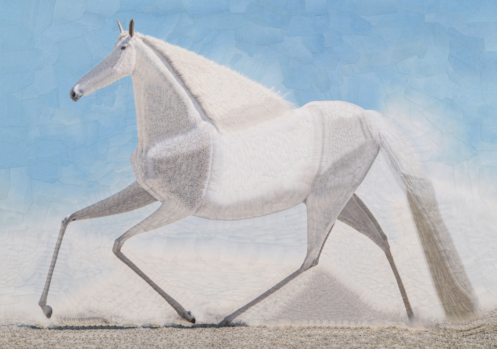 Meg, 2024, 16.5 x 11.6 inches