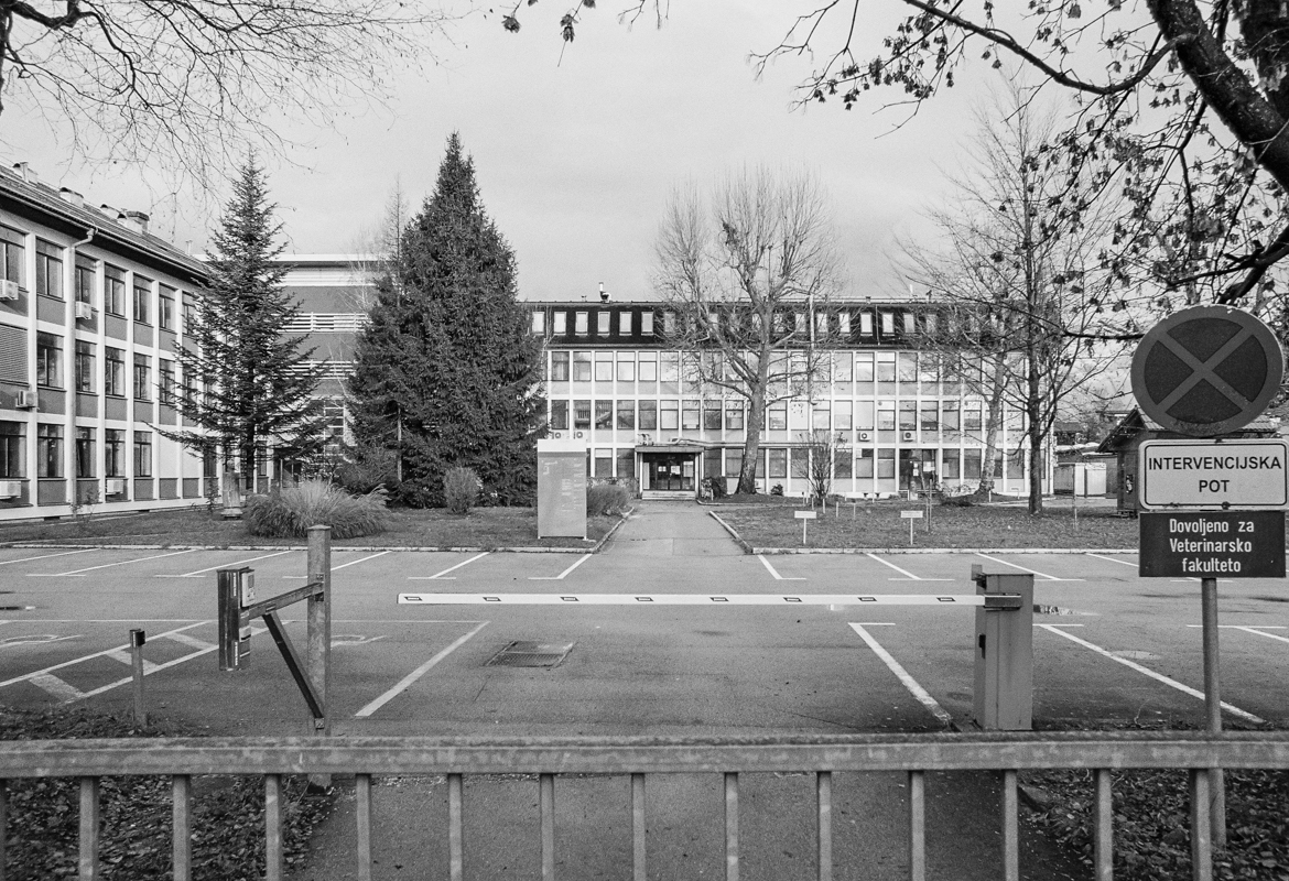 Veterinarska fakulteta, Ljubljana / 1963, Viljem Strmecki