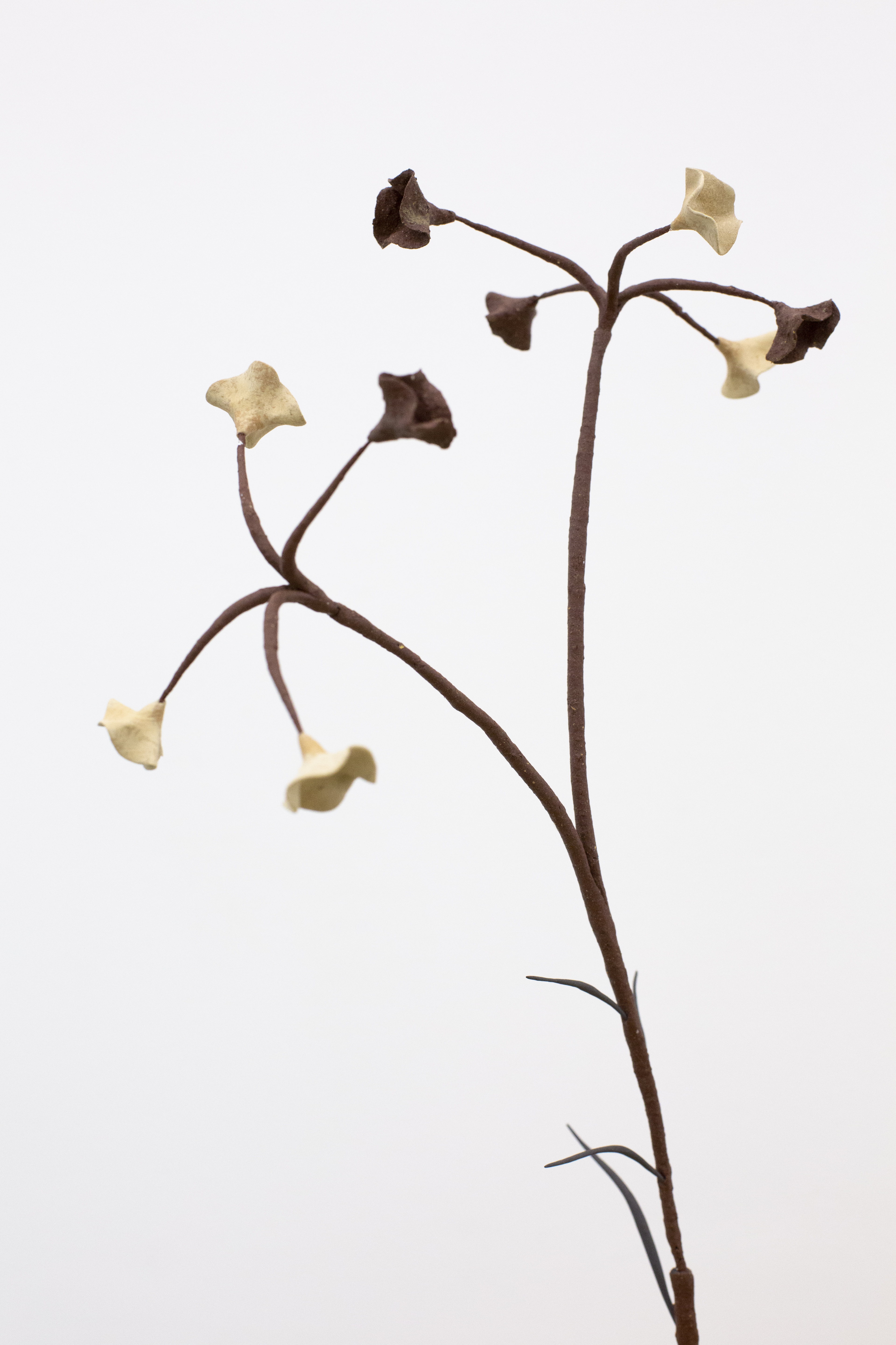 P|cture by Thor Salden