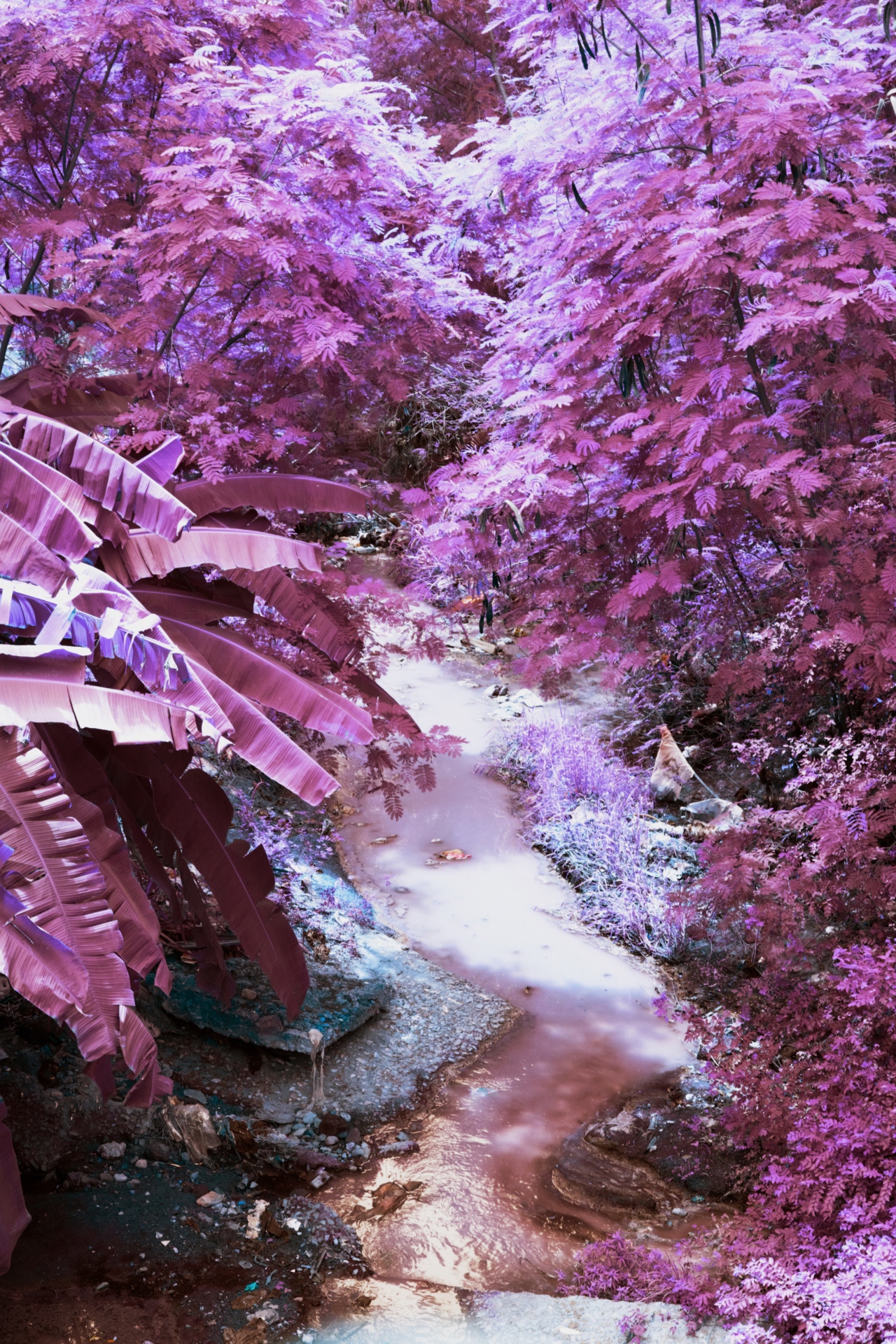 Opoku_Kwaku_Tema-IR_UO-2