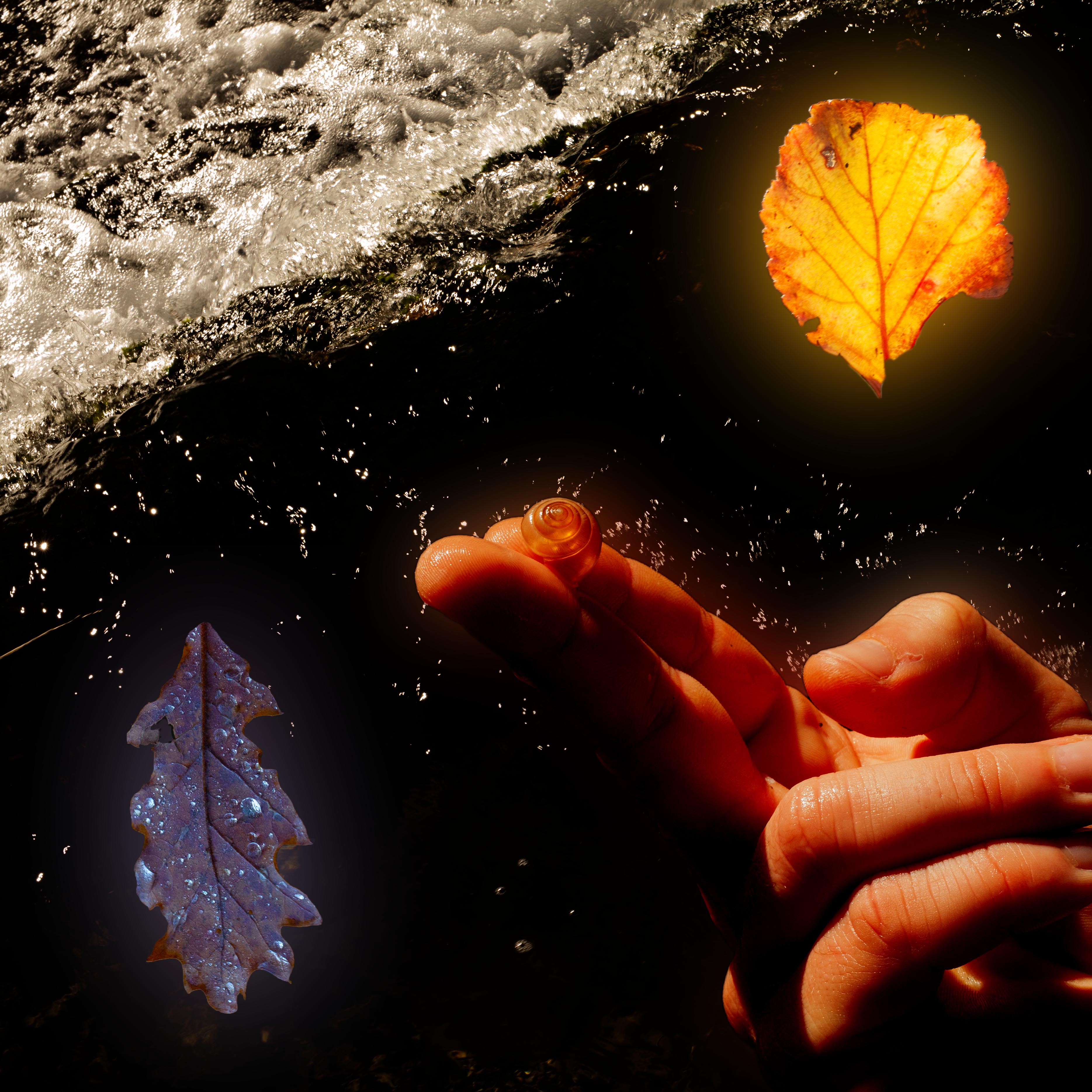 2023_ForestWalk_Aralar