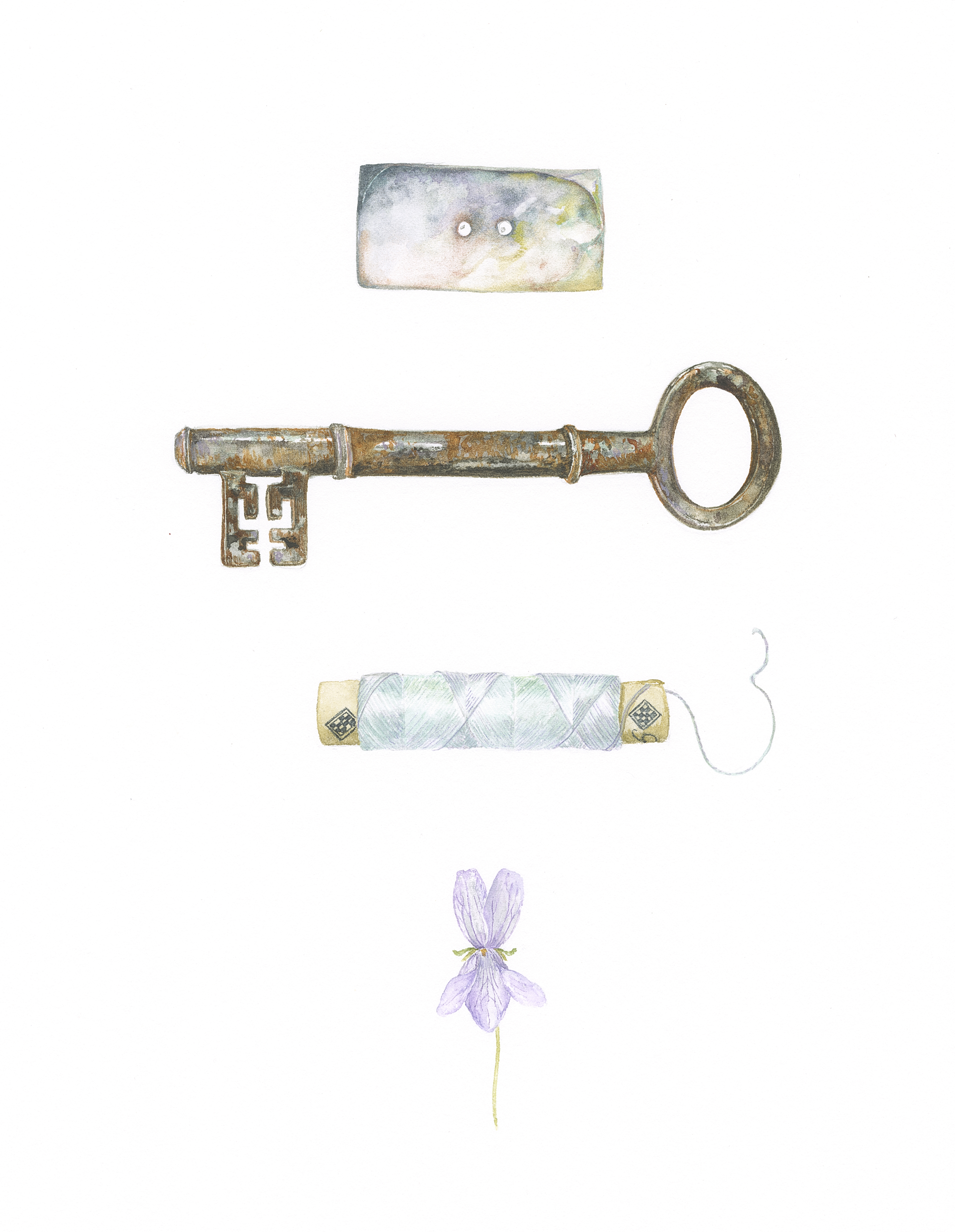 Button, key, silk and Viola hirta