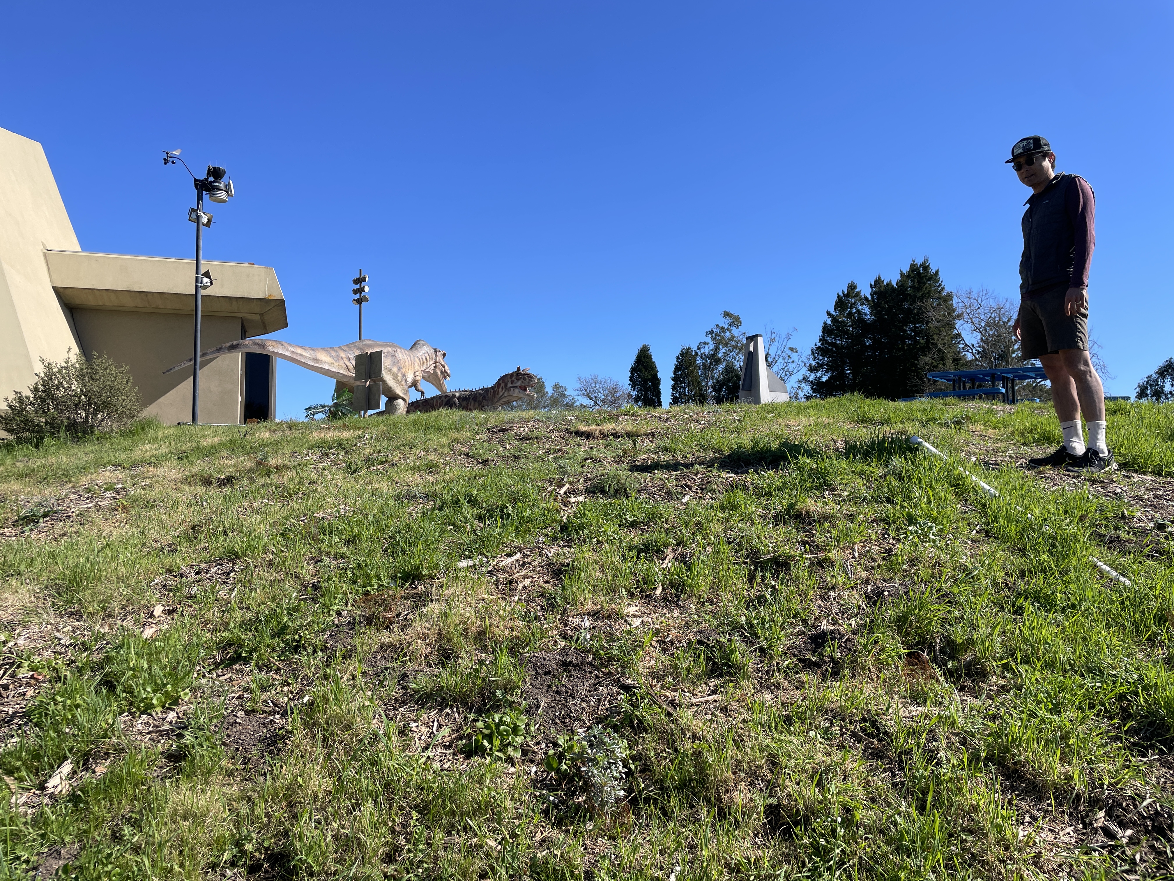 A couple days later... we see very little browning so it was not effective, because I forgot the dish soap and we sprayed too close to rain