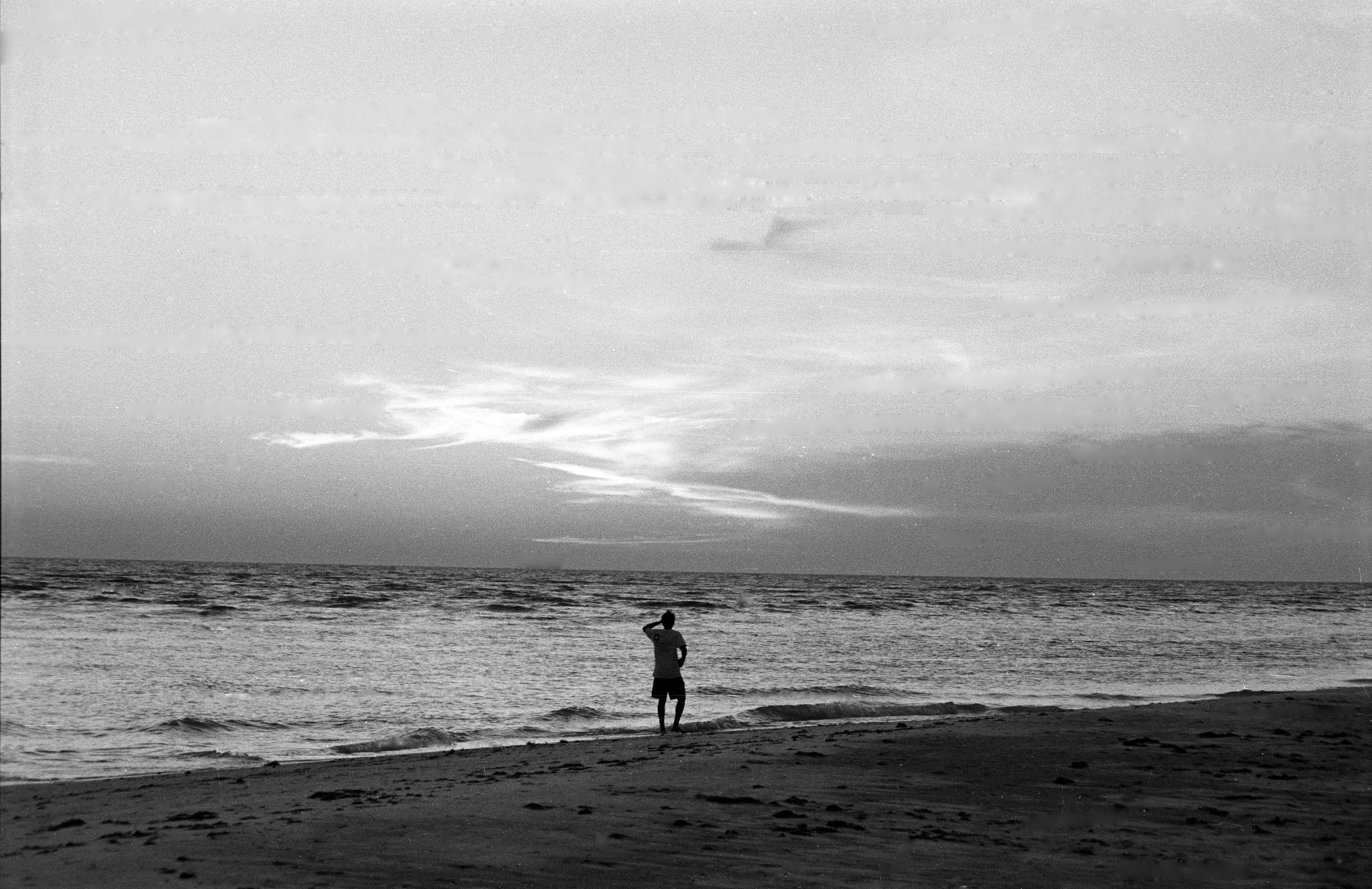 Florida BUY THIS PRINT