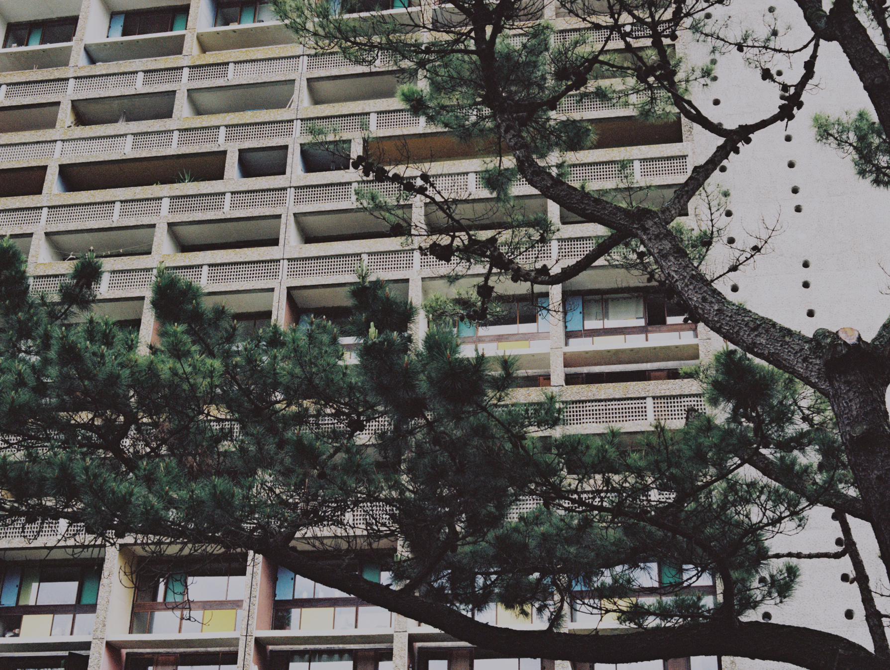 Unité d'Habitation (Nantes). (5/6)