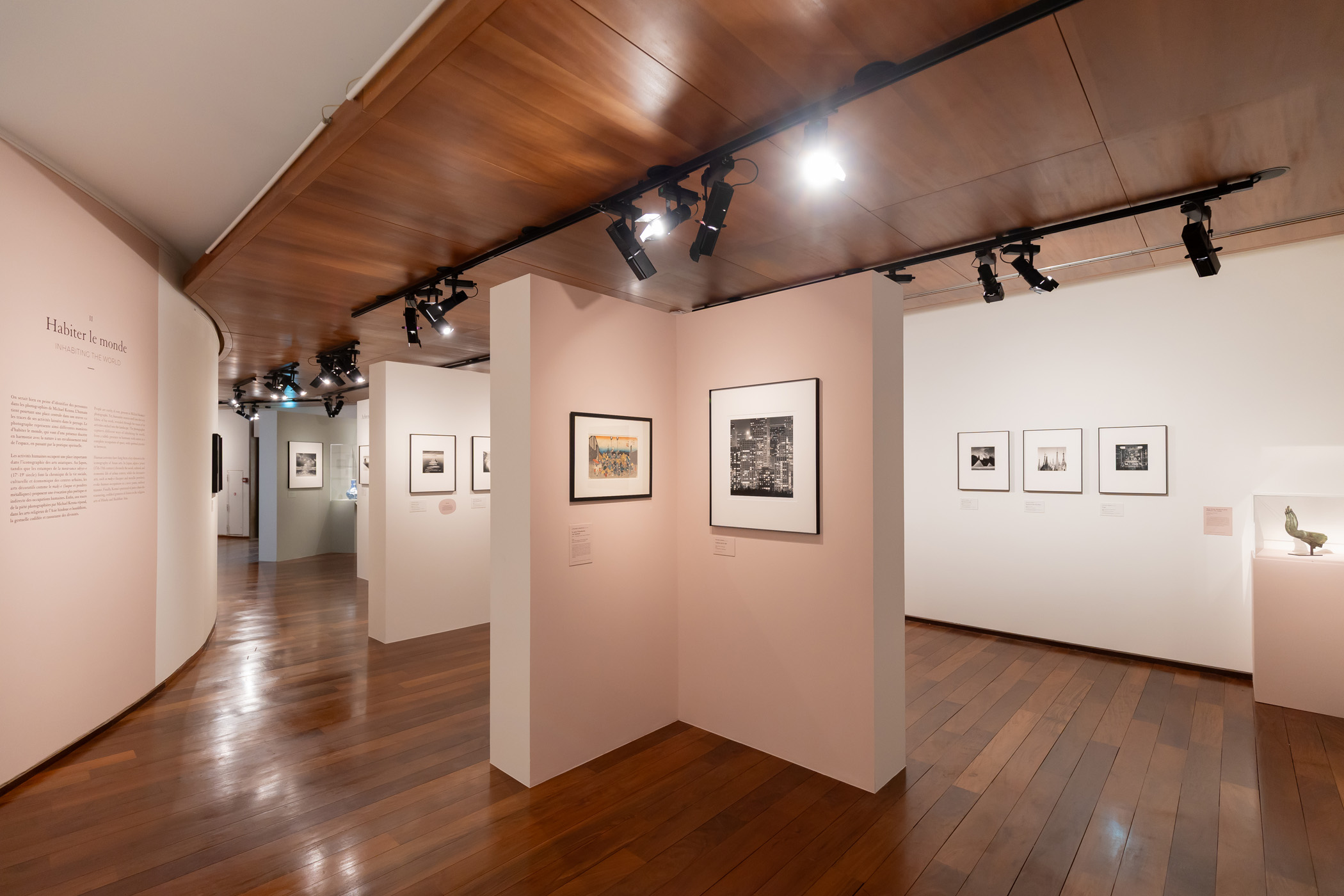 &copy;FrederiqueToulet