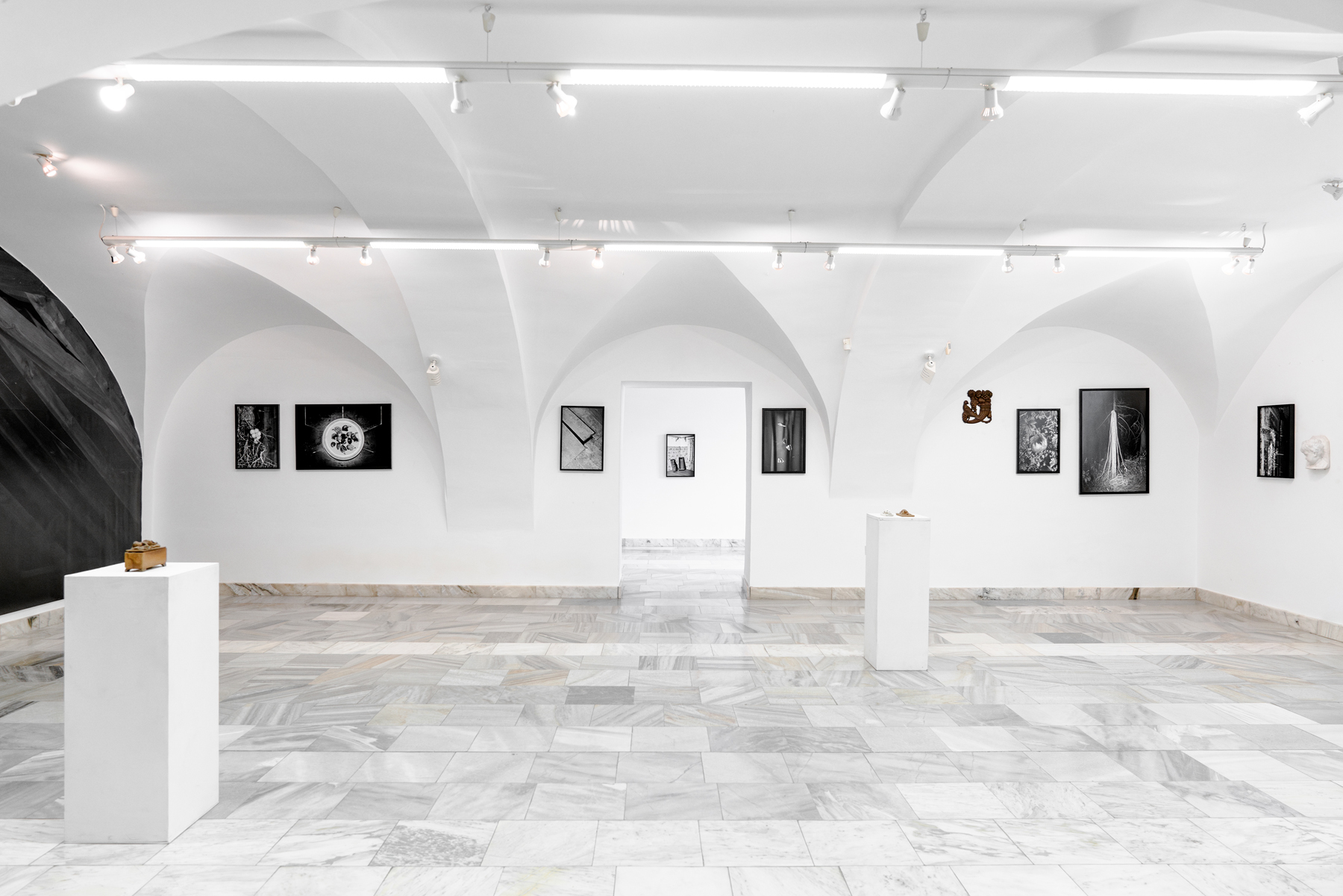 Plexus. Galerie Jiřího Jílka, Šumperk, 2025. With Eugen Ruppert, curated by Pavlína Vogelová.