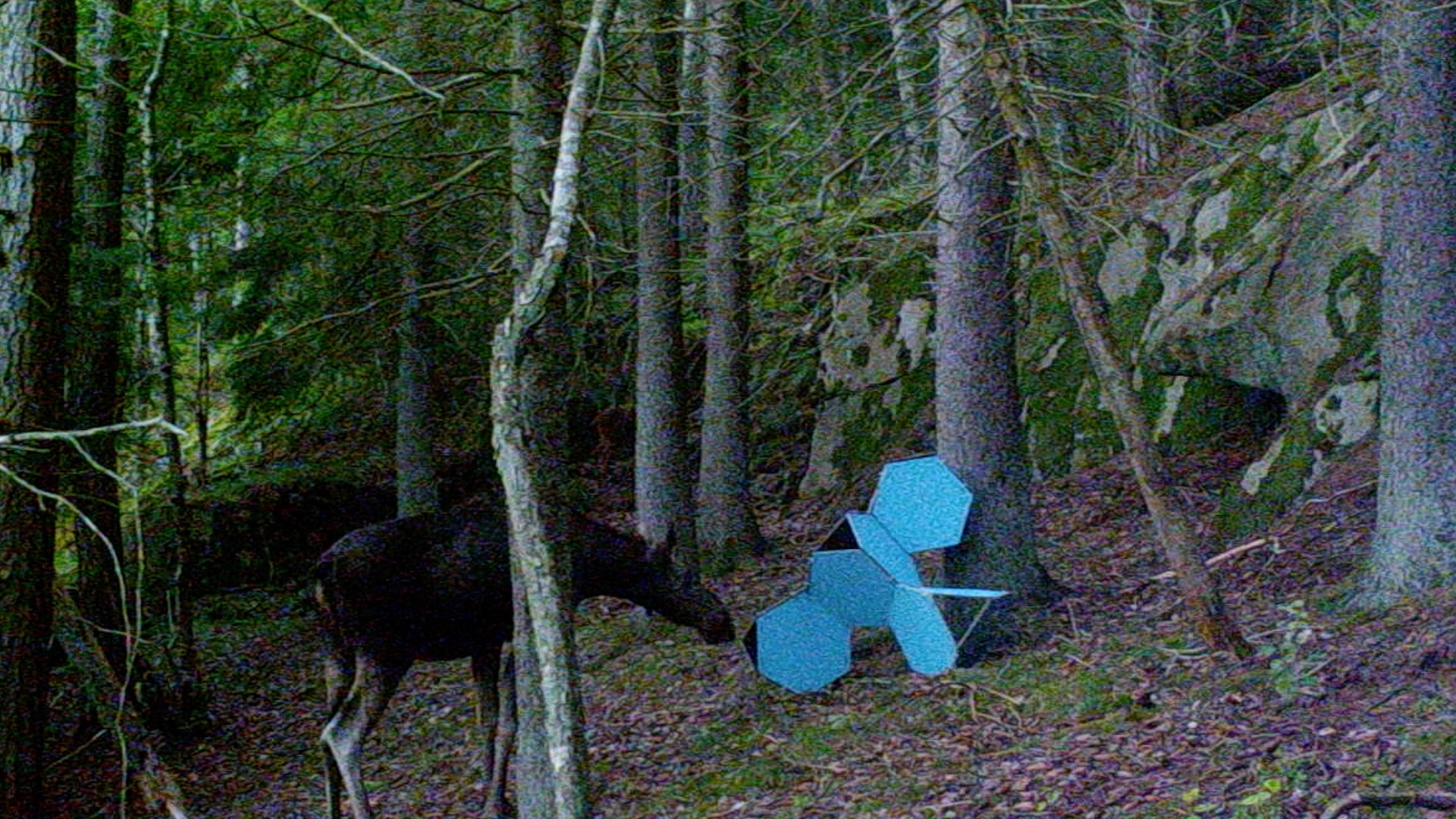 Spatial Operation VIII, Onsøy/Borgåsen, 2021