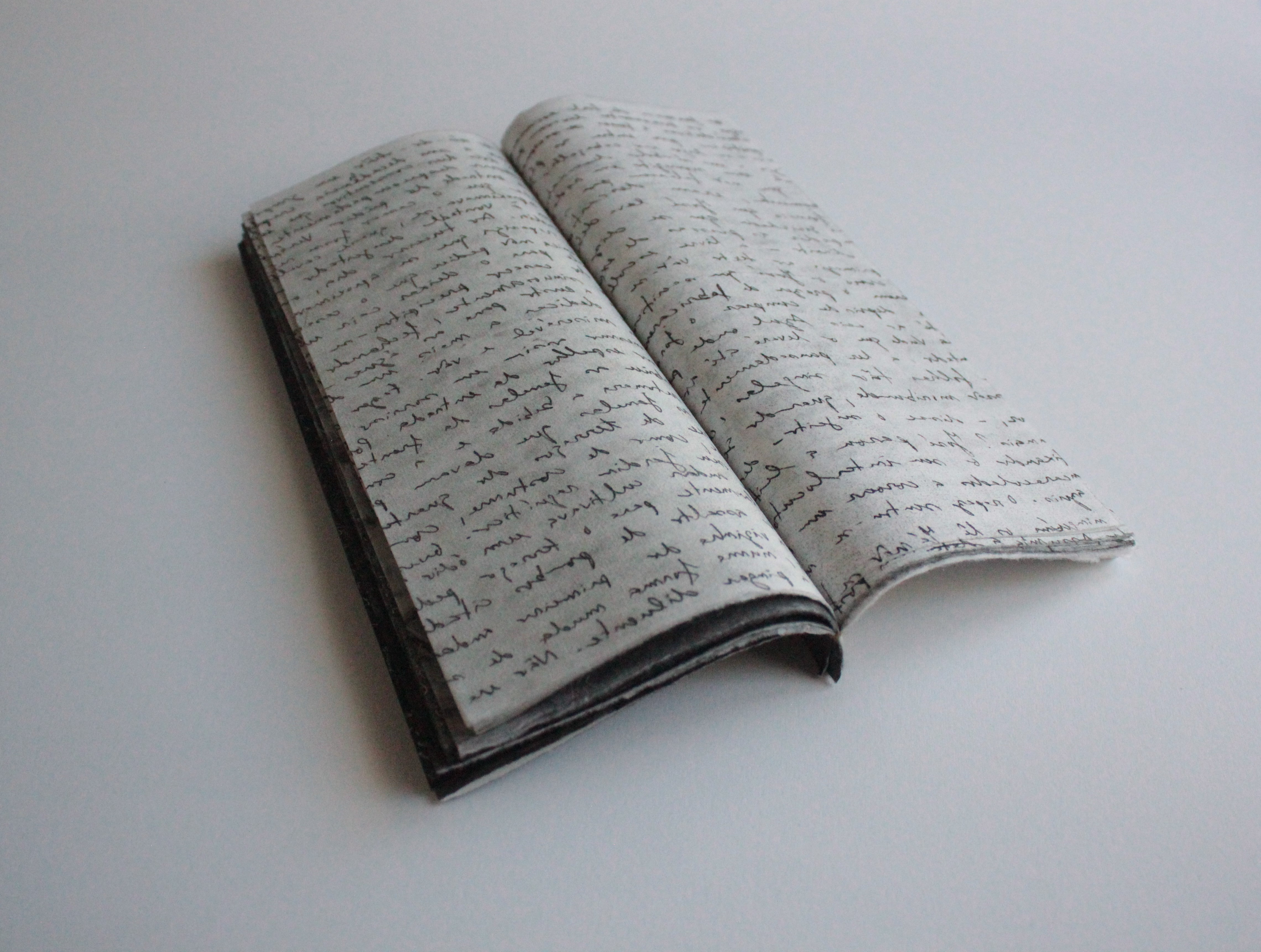 VERÓNICA / VERÓNICA