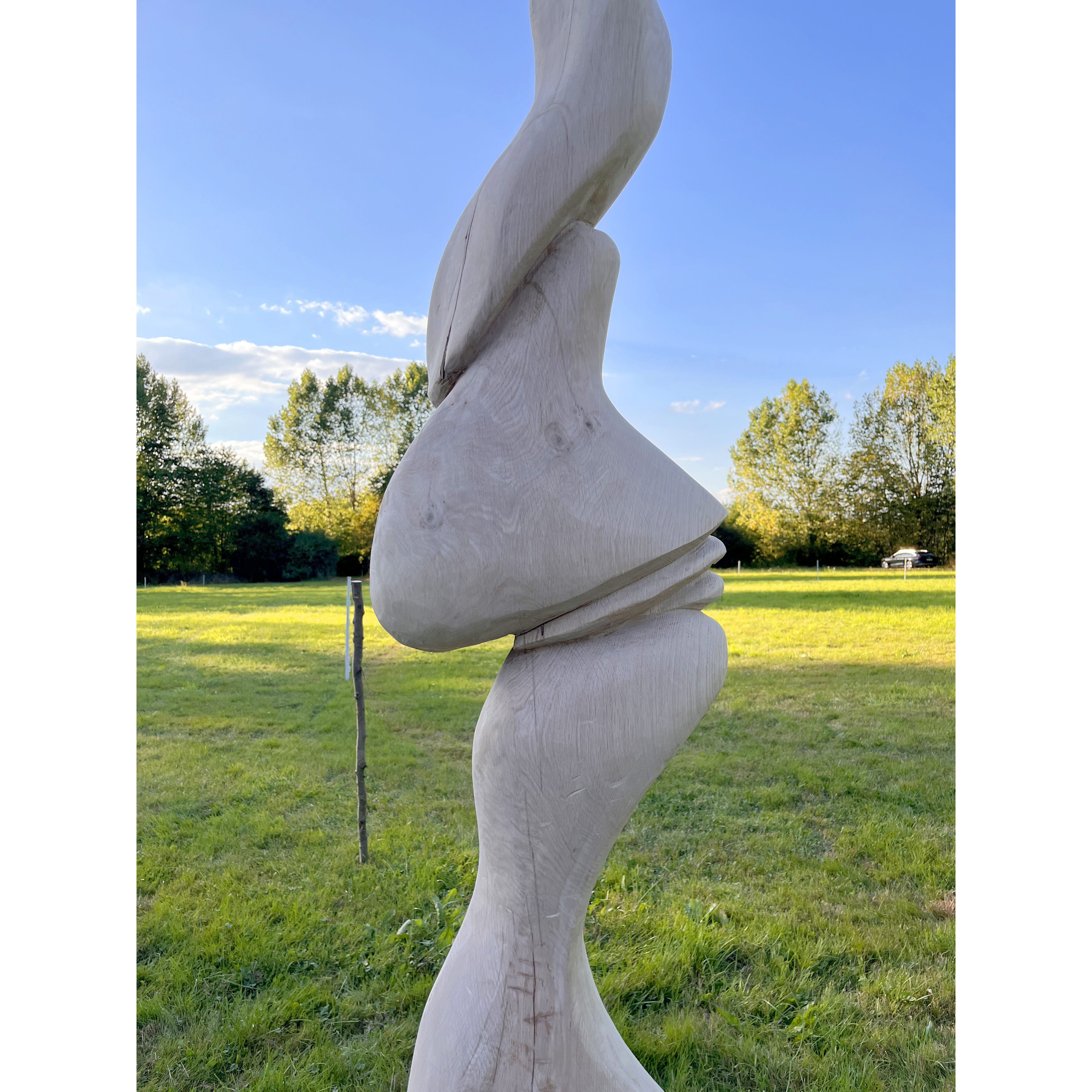 2025/Form in Flux/Wood