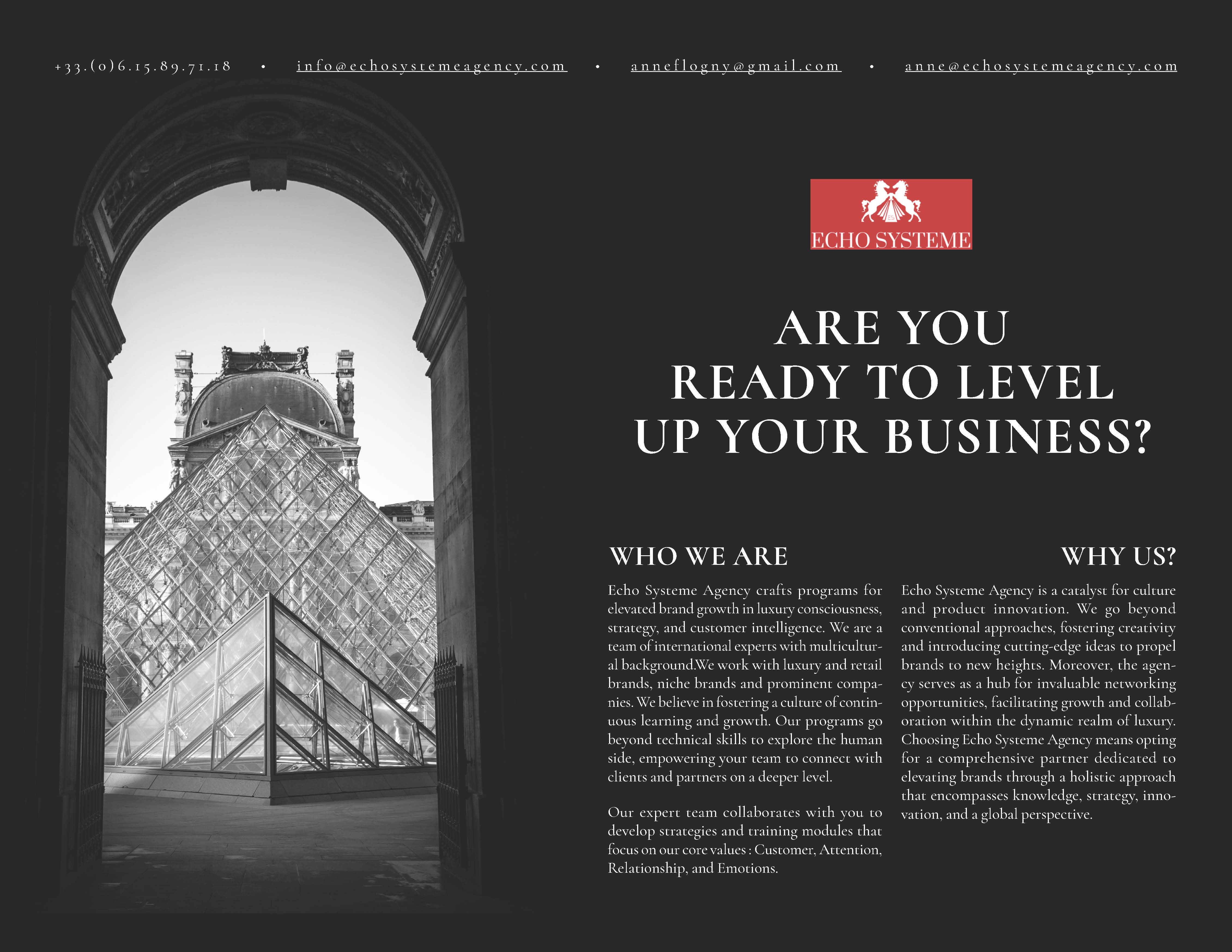 Echo Systeme Agency Brochure Design