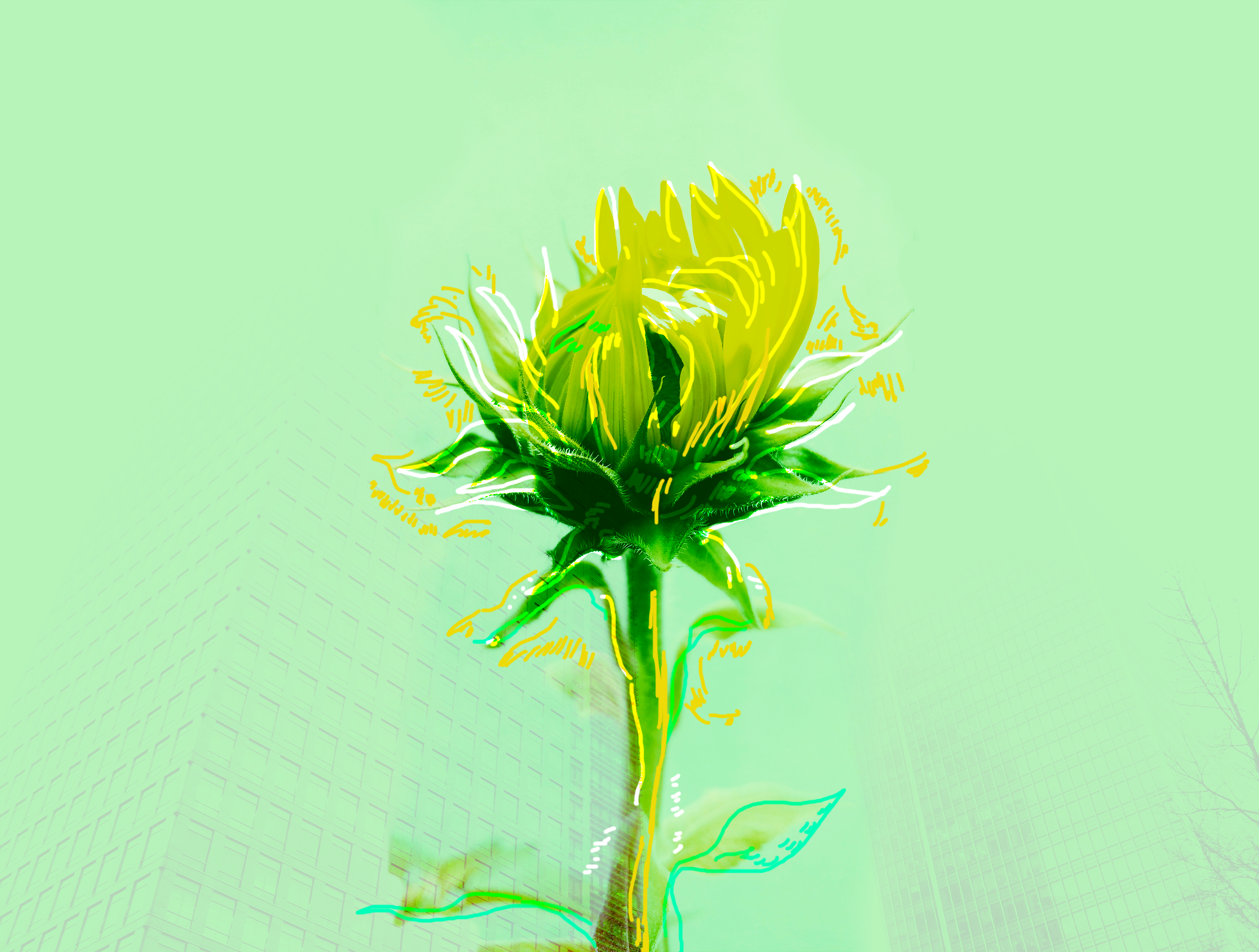 Green Surge BRICKS magazine