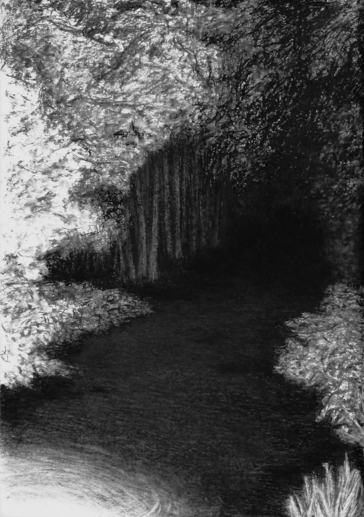 houtskool op papier, 100 x 70 cm