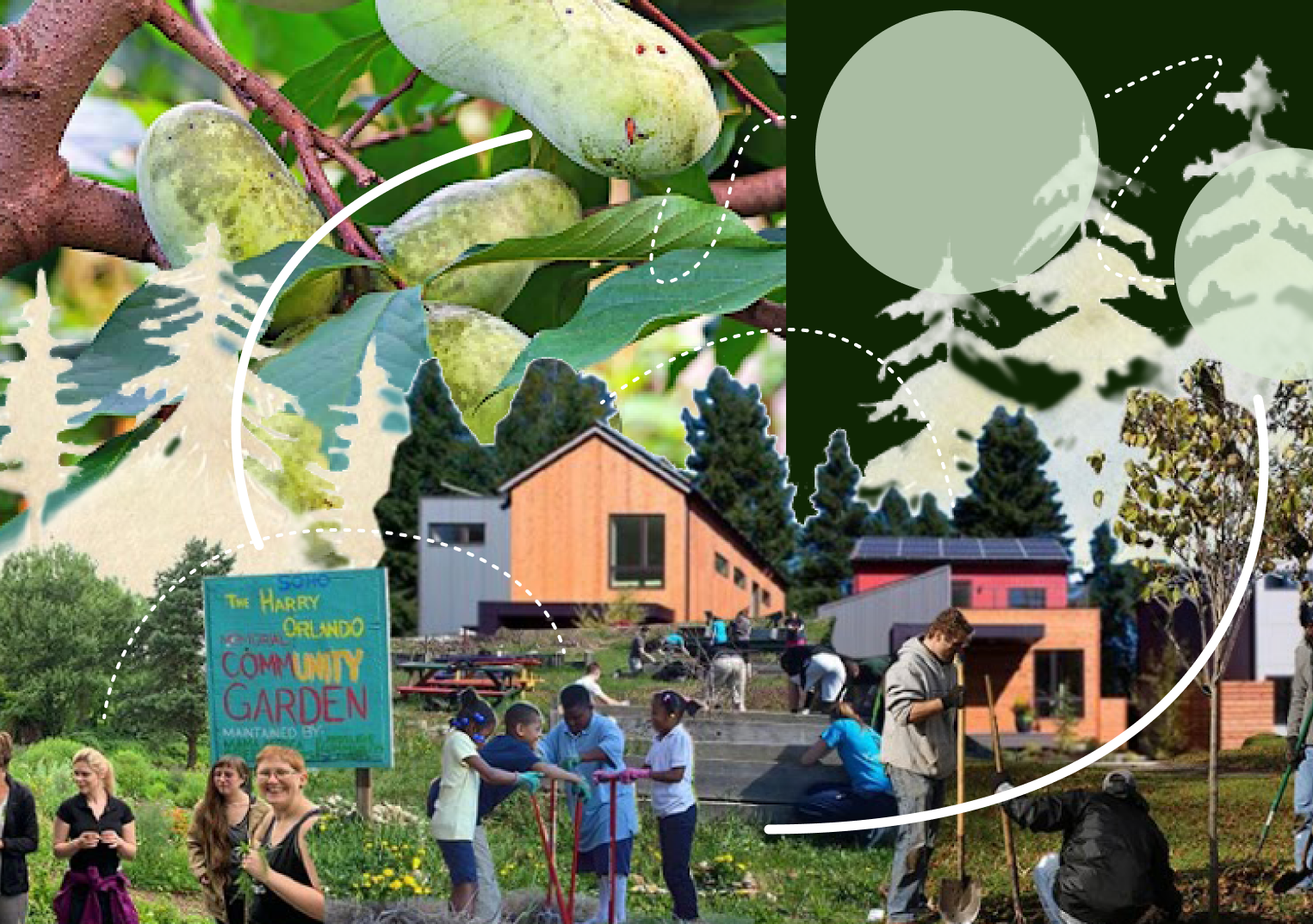 Deforestation in Laurentia Project Cover Image