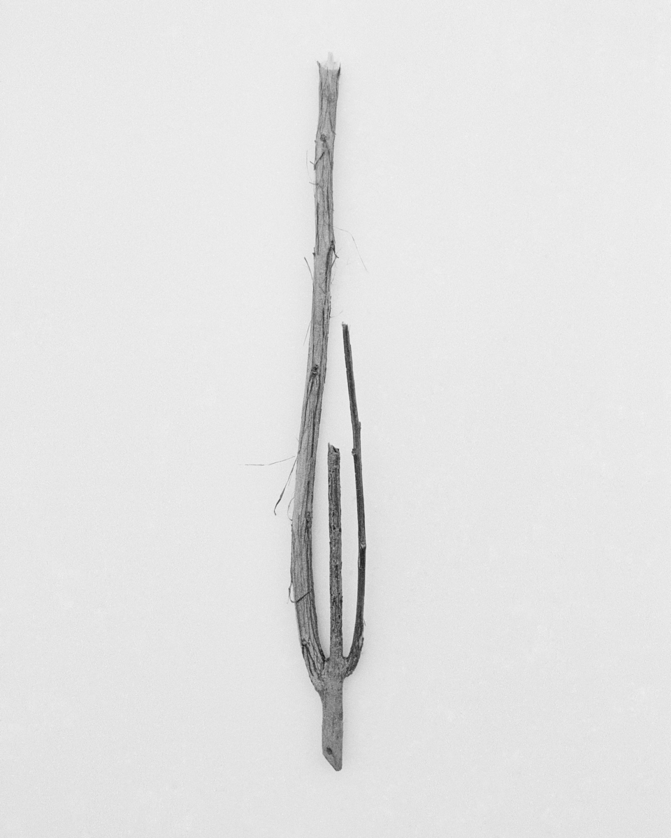 24/36