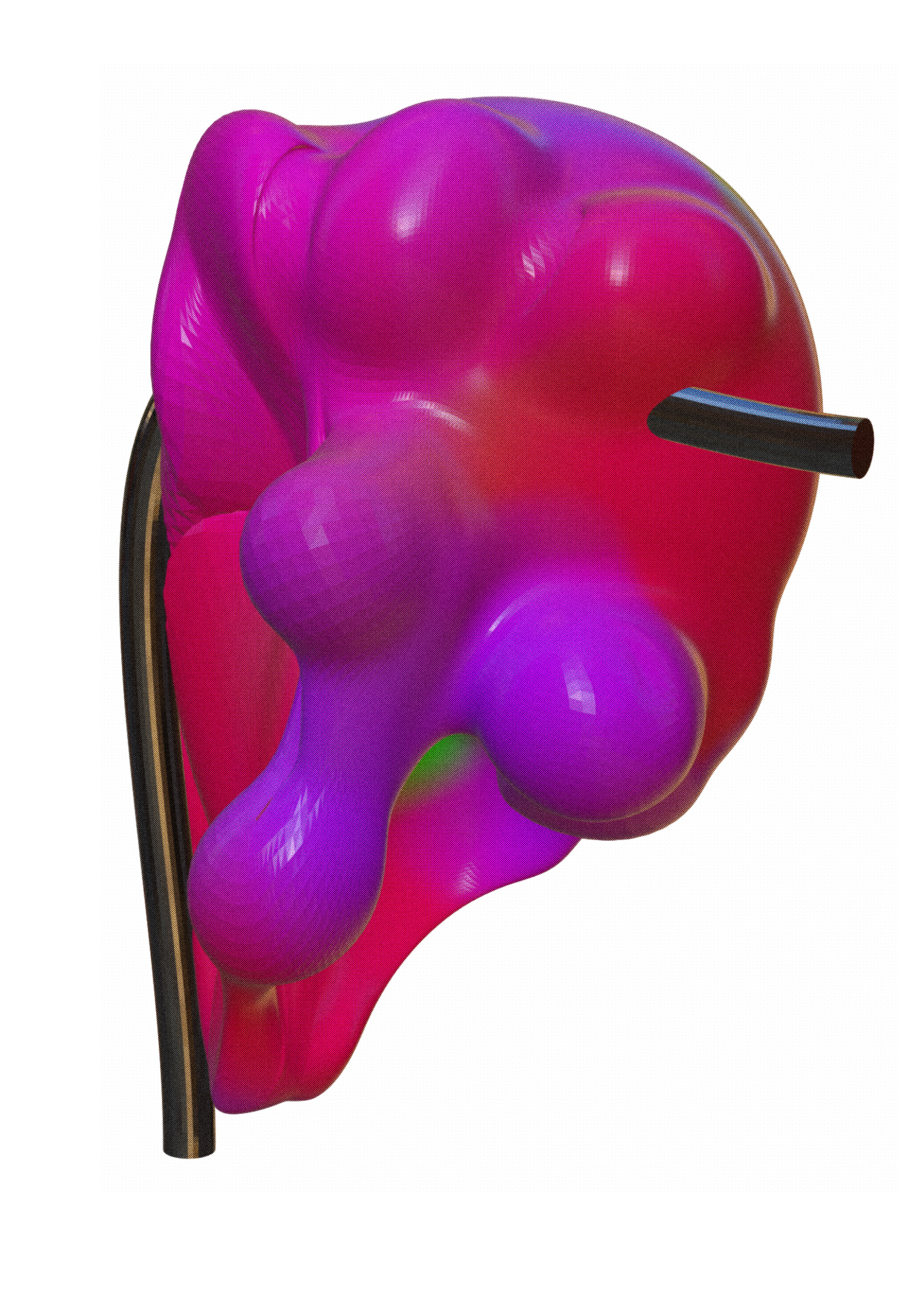 A POOR PERSONS FUNERAL, DIGITAL 2024